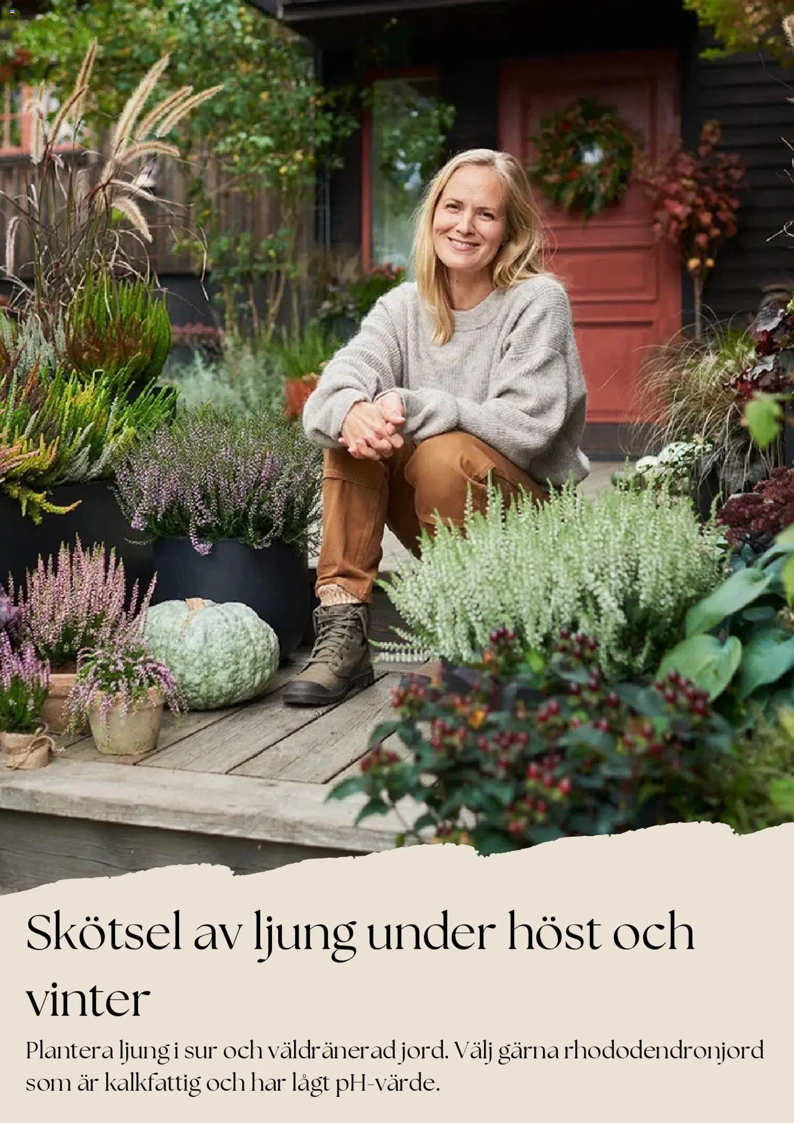Plantagen reklamblad aktuell från 27.10.2025 | Sida: 3