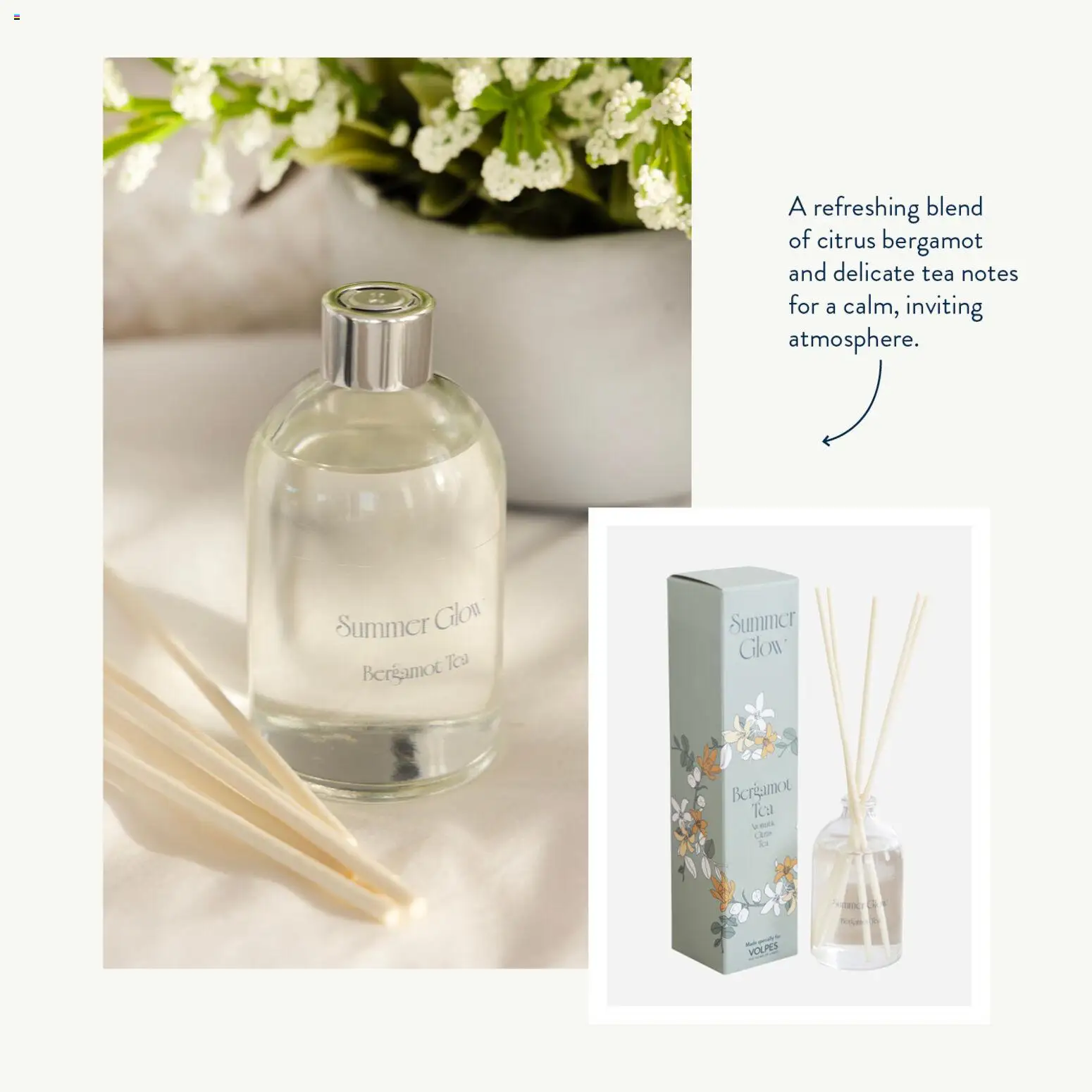 New Volpes catalogue – valid from 25.03.2026 | Page: 5 | Products: Tea