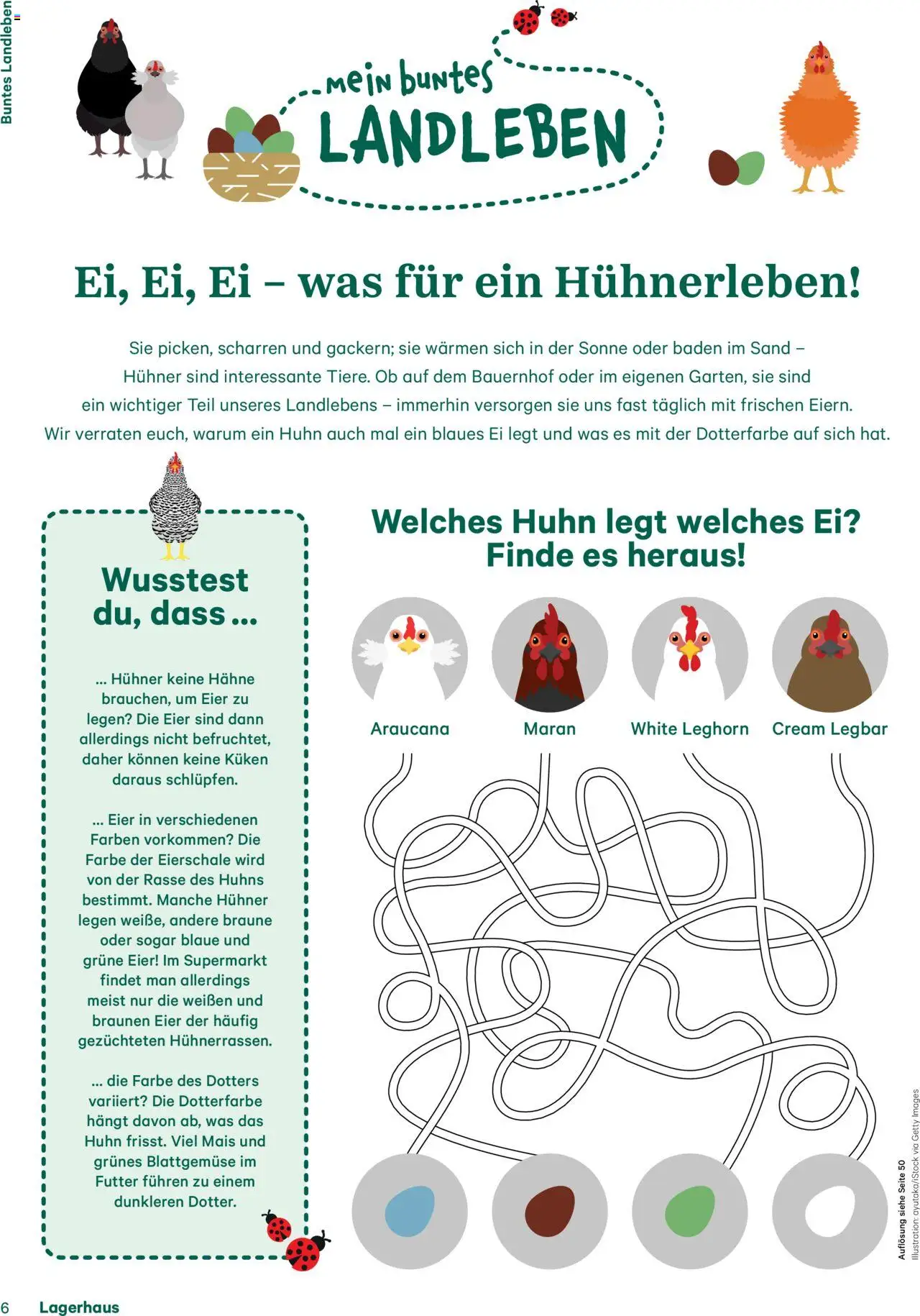 Lagerhaus Fürs Leben am Land Magazin gültig ab 28.04.2025 | Seite: 6 | Produkte: Eier