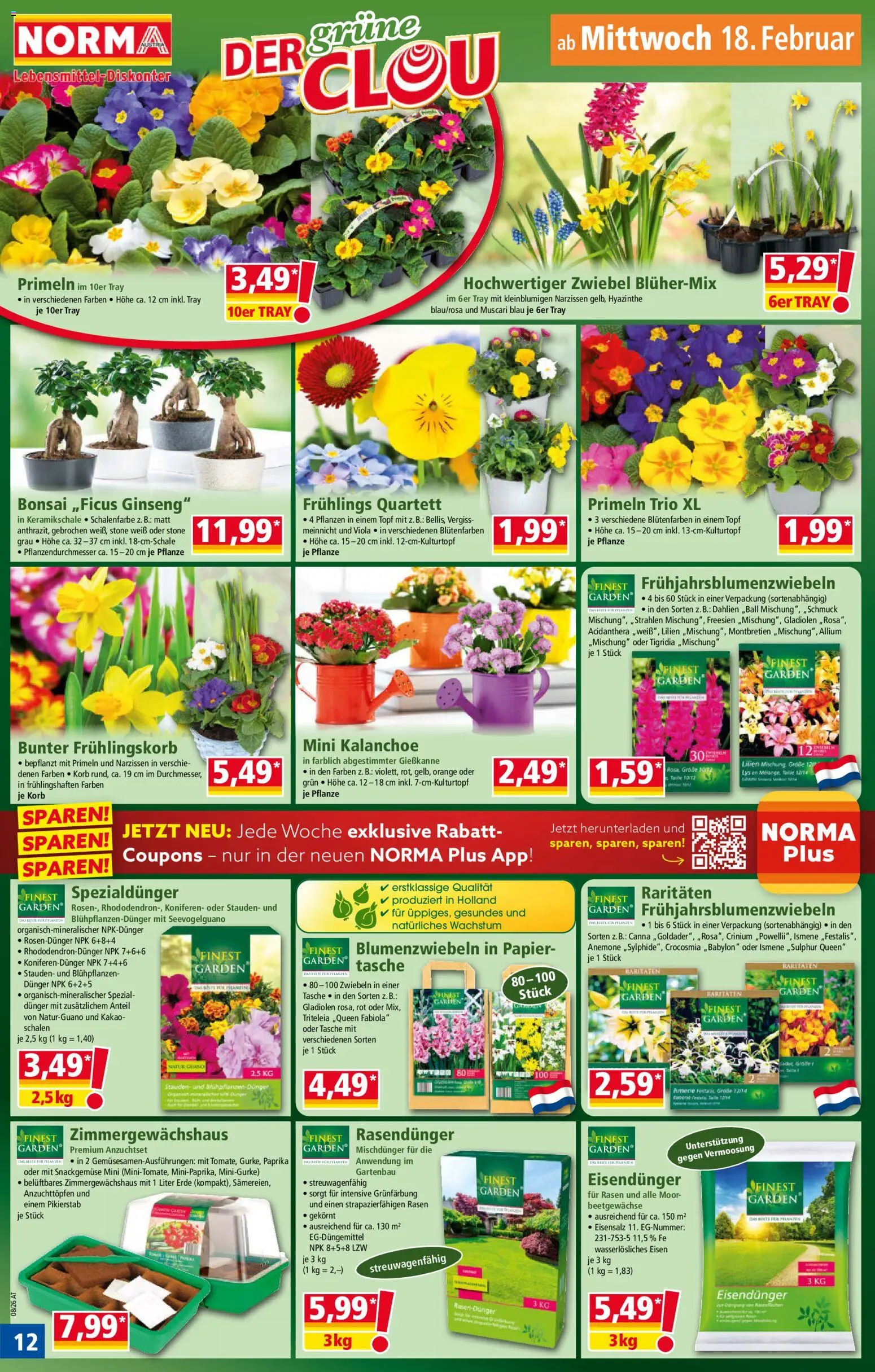 Norma Flugblatt gültig ab 16.02.2026 | Seite: 14 | Produkte: Zwiebeln, Tasche, Korb