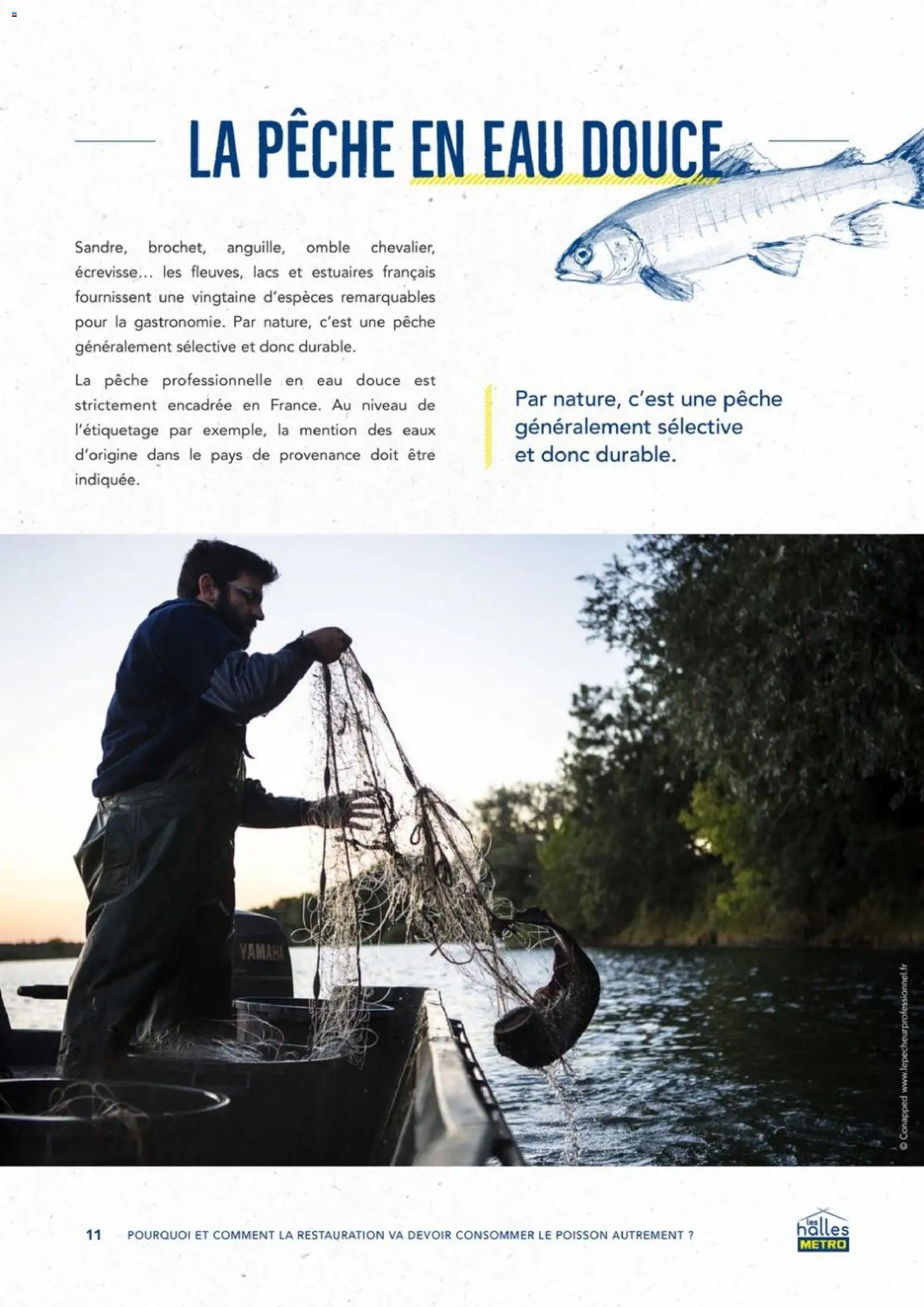 {H1} | Page: 11 | Produits: Pêche, Poisson