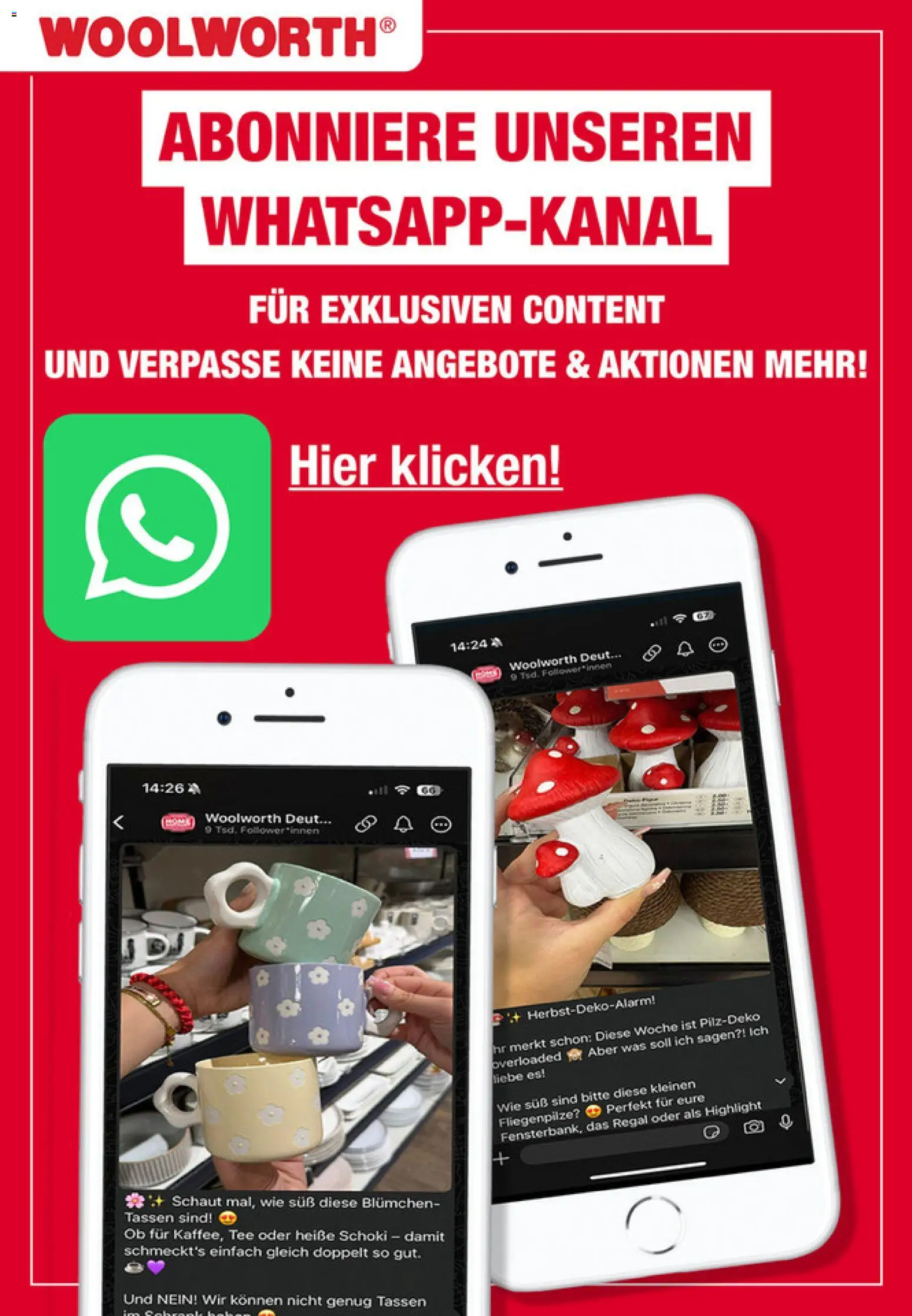 Woolworth Unser neuer Prospekt  – gültig ab 31.10.2025 | Seite: 58 | Produkte: Regal, Tee