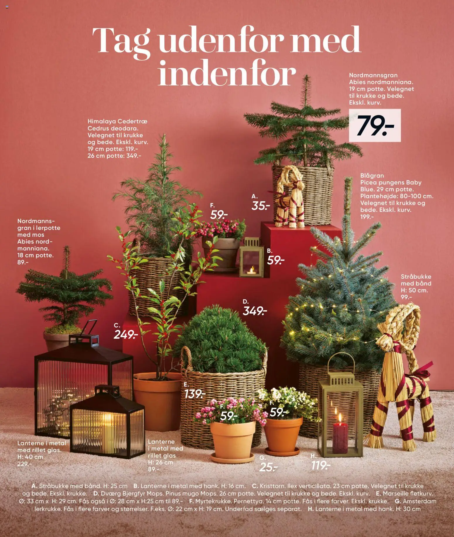 Bilka tilbudsavis – gyldig fra 01.11.2025 | Side: 22 | Produkter: Krukke