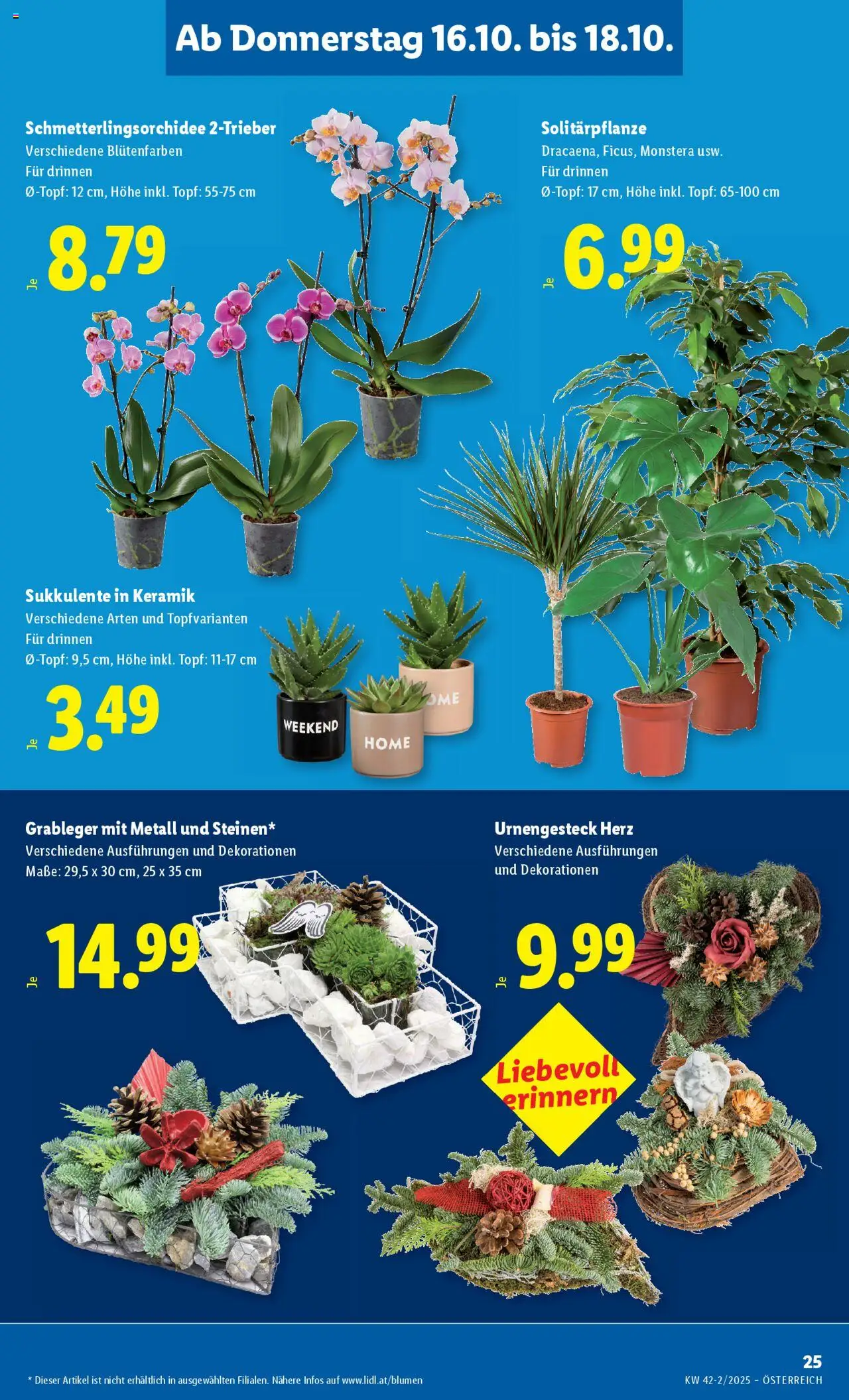 Lidl Flugblatt gültig ab 16.10.2025 | Seite: 29