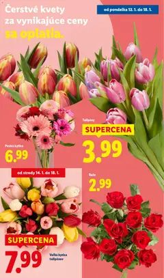 Lidl leták platný od 12.01.2026 | Strana: 34