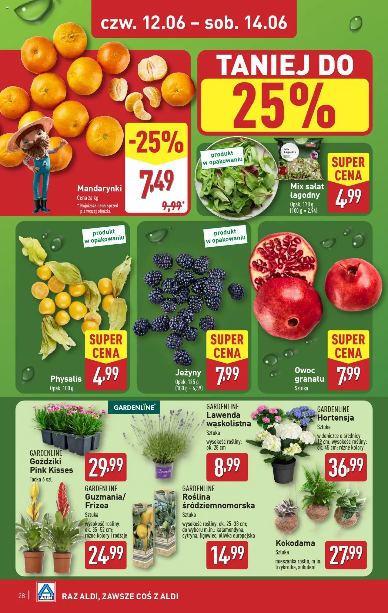 Aldi Gazetka od 09.06.2025 | Strona: 28 | Produkty: Goździki, Rosliny, Mix sałat, Mandarynki