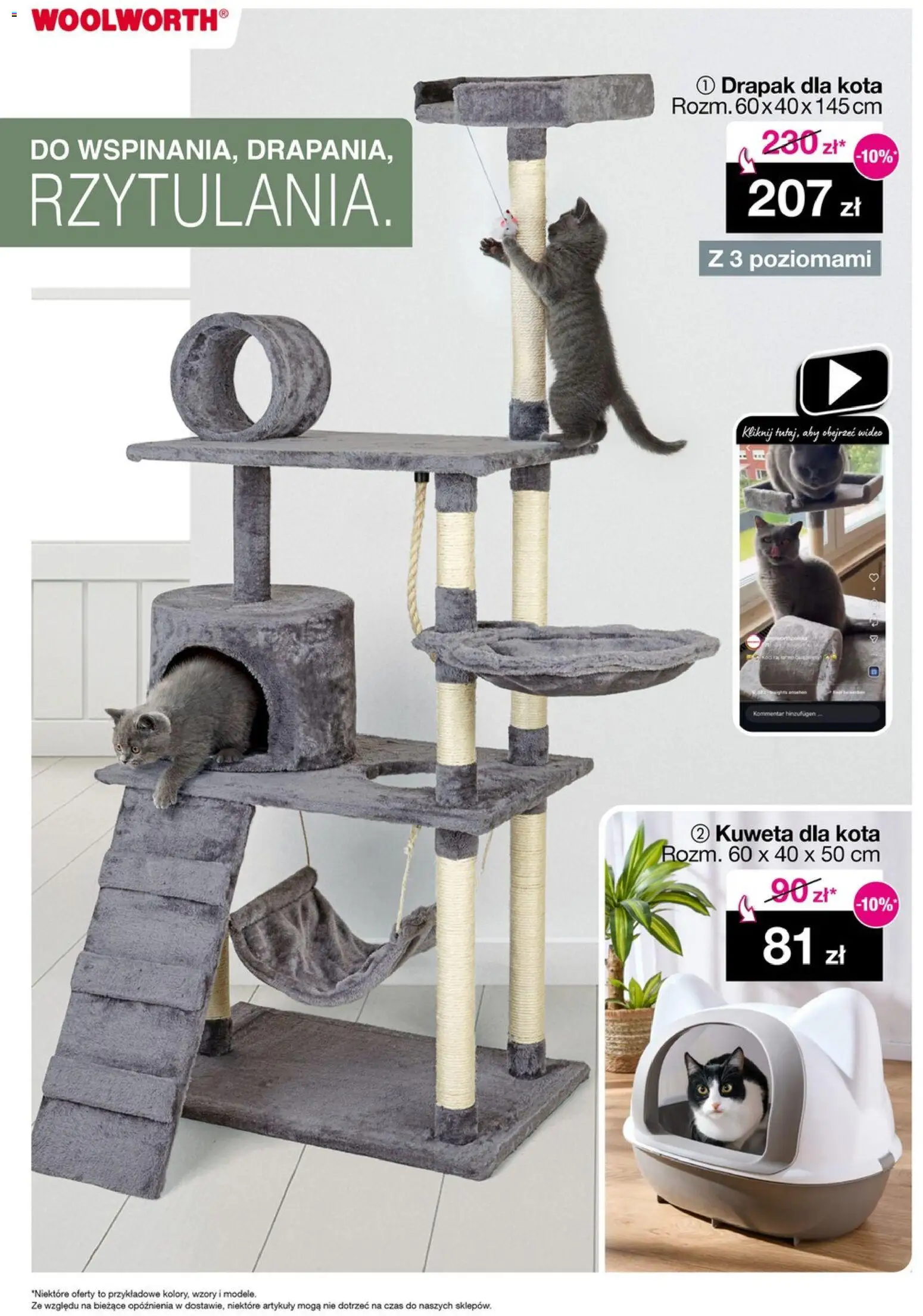 Woolworth Gazetka od 12.12.2025 | Strona: 9 | Produkty: Wideo, Drapak, Drapak dla kota