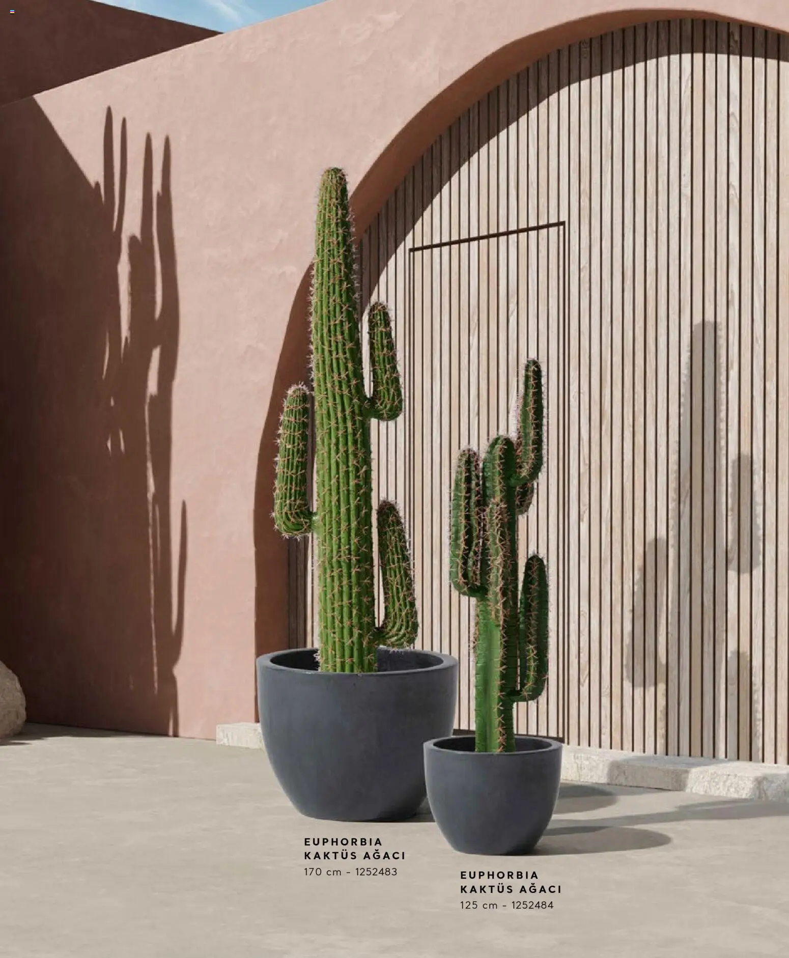 Mudo - Katalog  Ağaç 2026 - 01.01.2026 tarihinden itibaren geçerlidir | Sayfa: 15