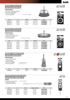 Anteprima del volantino Einhell Elettroutensili catalogo valido a partire dal 10.10.2025 | Pagina: 143 | Prodotti: Spazzola, Pennello, Trapano, Disco