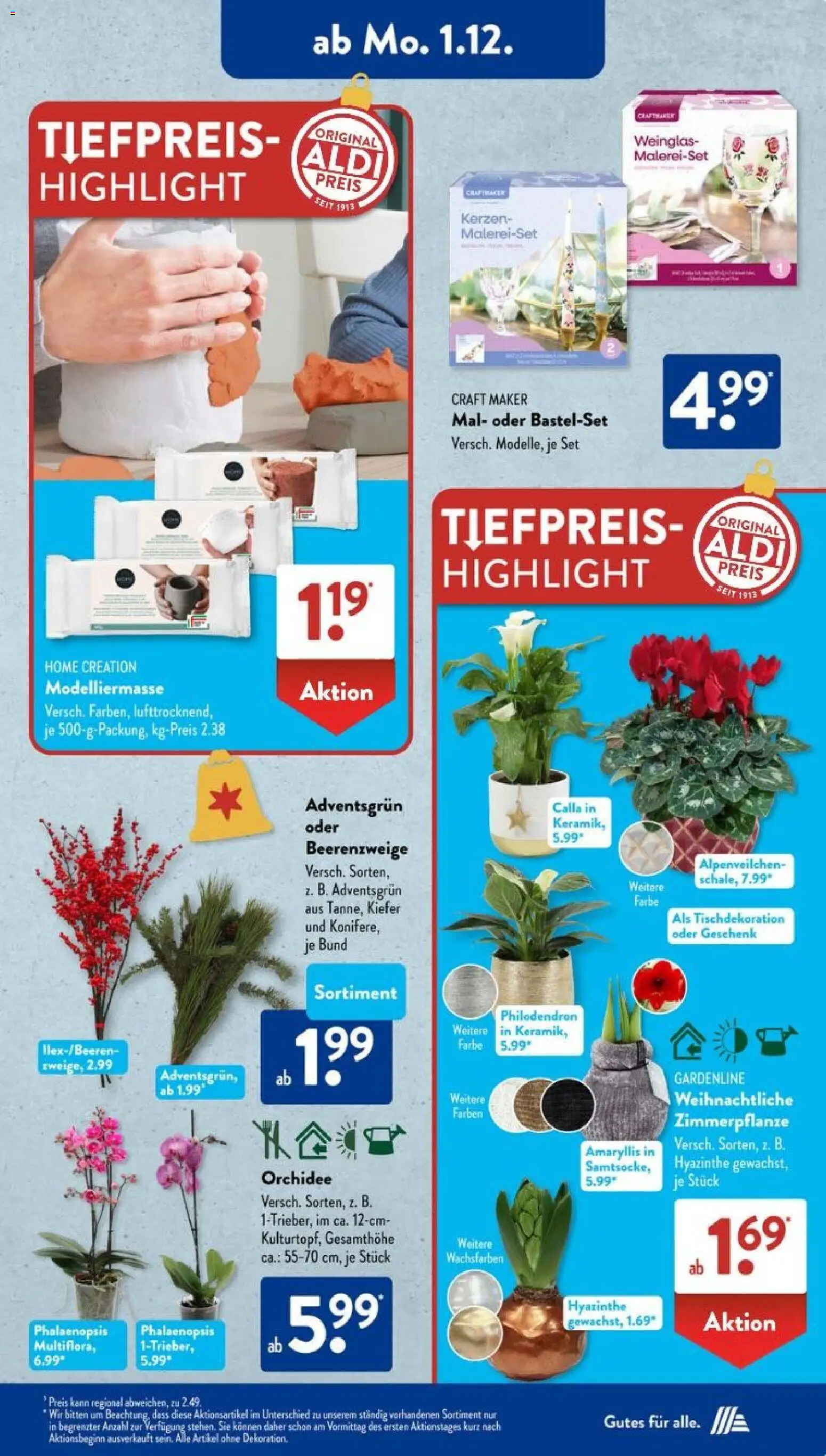 Aldi Süd Prospekt 	 – gültig ab 01.12.2025 | Seite: 5 | Produkte: Orchidee, Home creation