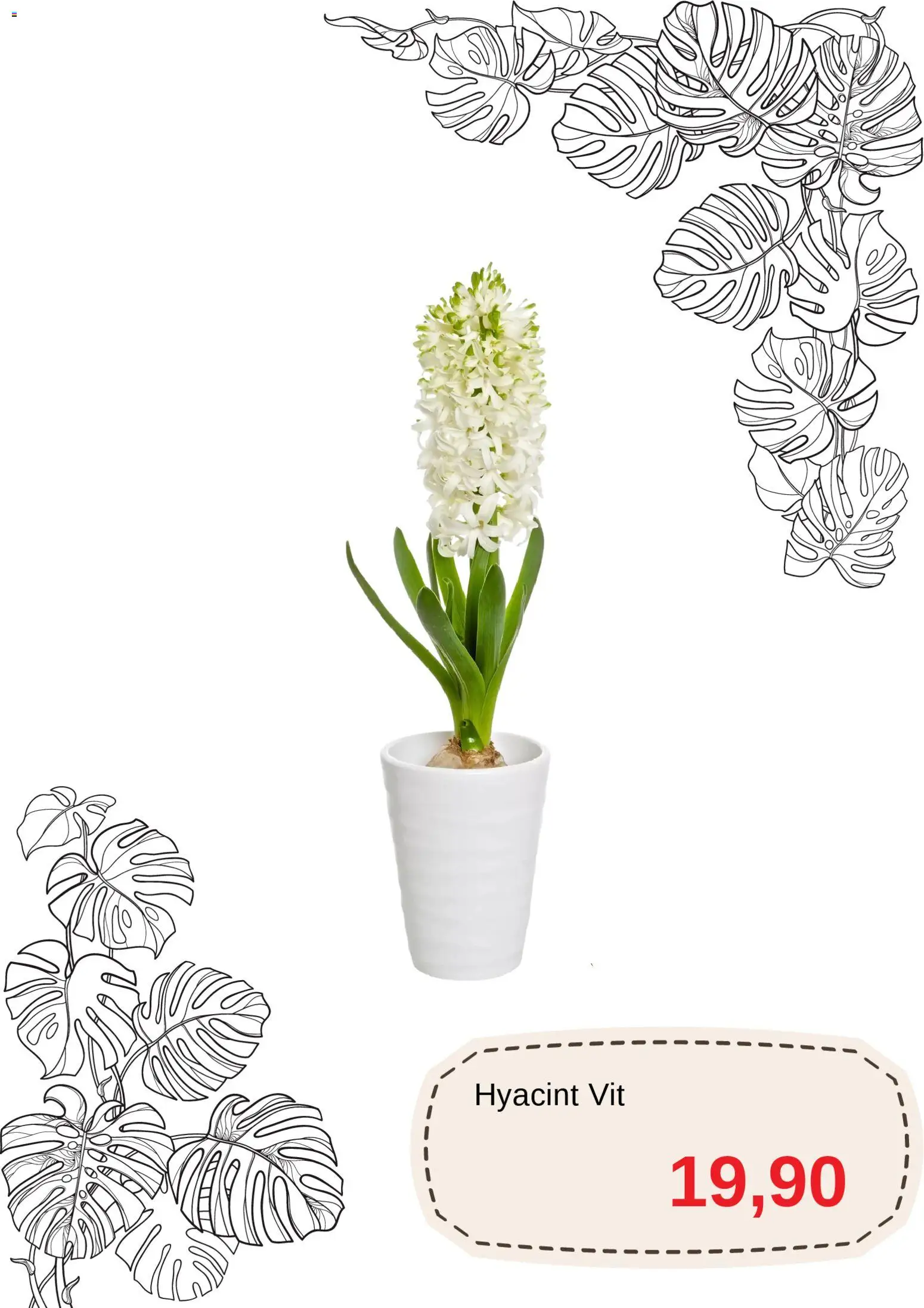 Blomsterlandet reklamblad aktuell från 01.12.2025 | Sida: 2