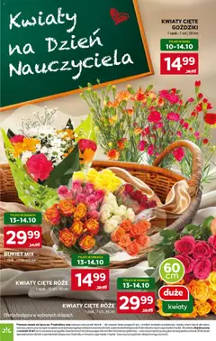Pogląd oferty "Stokrotka Gazetka" - ważna od 09.10.2025 | Strona: 6 | Produkty: Kwiaty cięte, Goździki, Stokrotka, Kwiaty