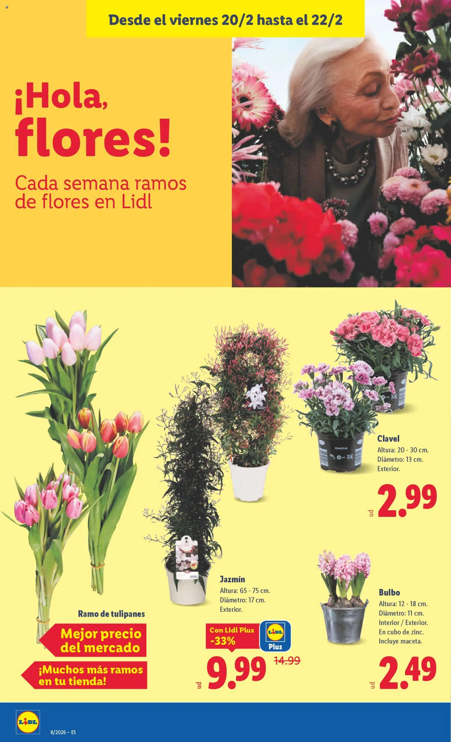 Lidl folleto │ válido desde el 16.02.2026 | Página: 40