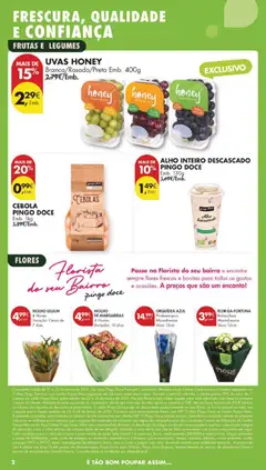 Pré-visualização ORQUÍDEA AZUL, Phalaenopsis Moredreams Vaso 12cm válido de 17.03.2026 | Página: 2