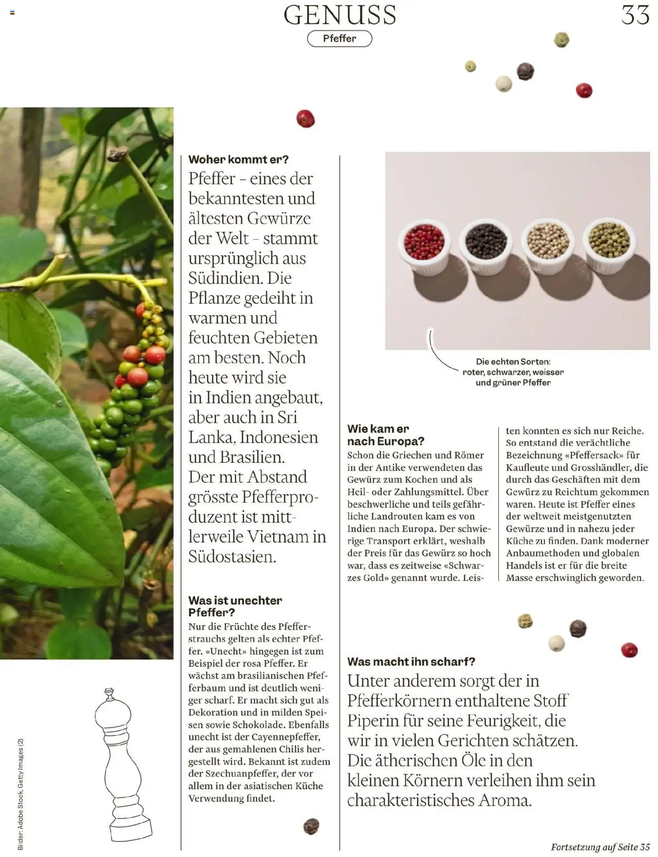 Migros Magazin – gültig ab 06.10.2025 | Seite: 33 | Produkte: Gewürze, Früchte, Pfeffer, Bilder