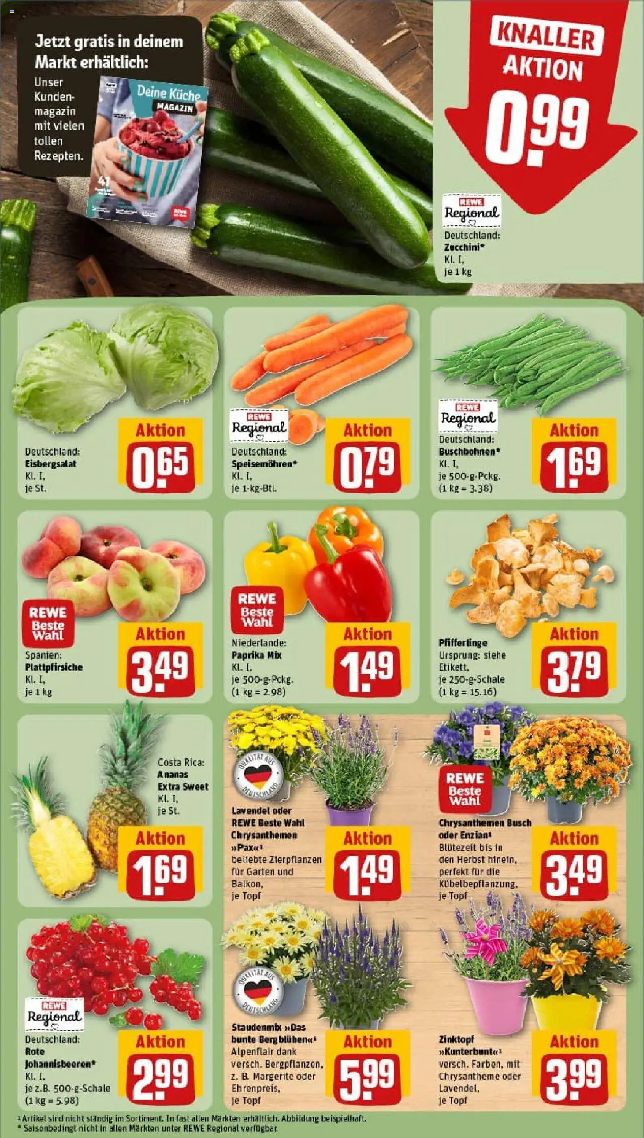 Rewe prospekt Hückelhoven / Hilfarth	 - gültig ab dem 20.07.2025 | Seite: 7 | Produkte: Eisbergsalat, Paprika, Zucchini, Lavendel