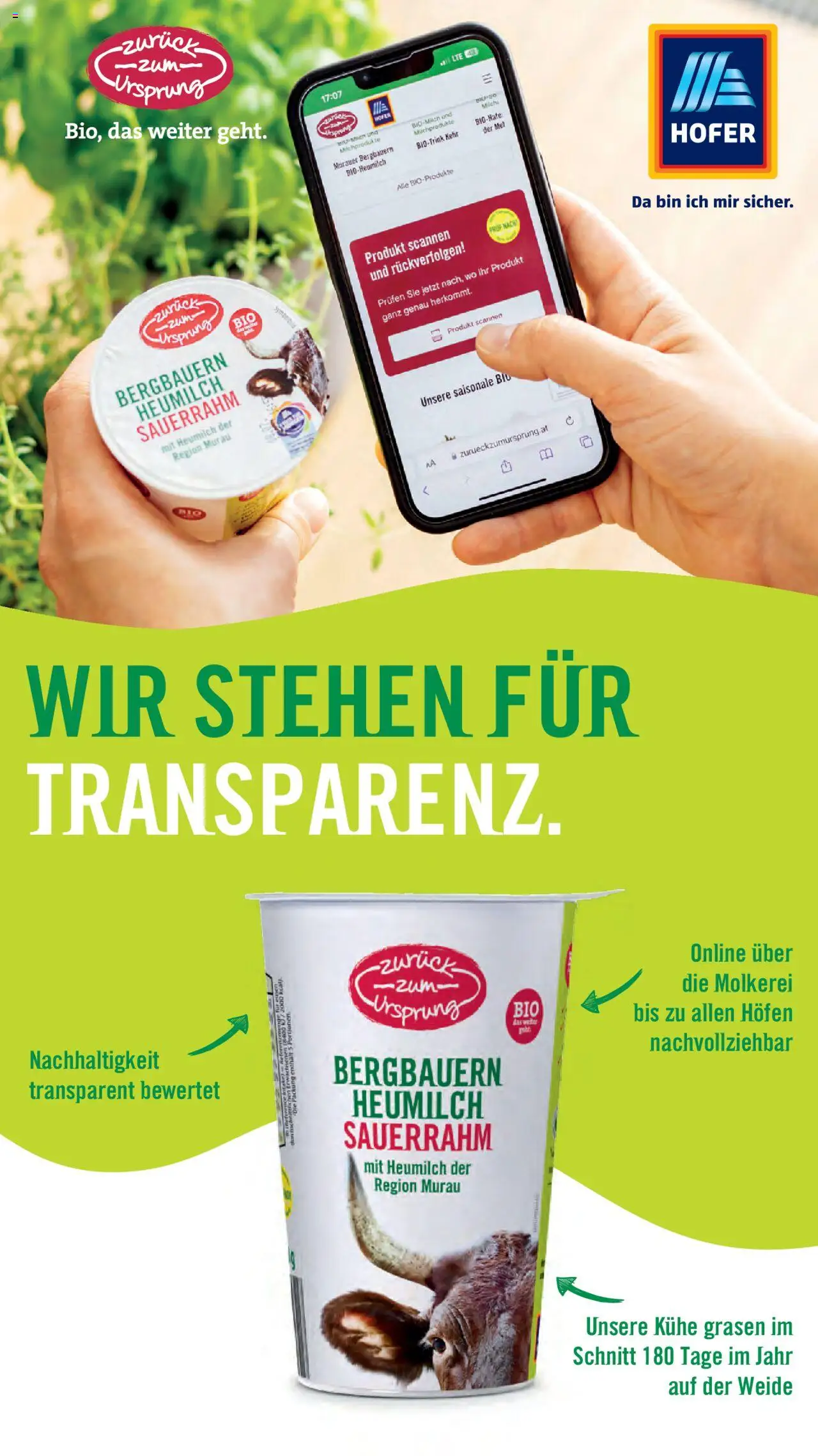 Hofer Flugblatt gültig ab 22.08.2025 | Seite: 21 | Produkte: Sauerrahm