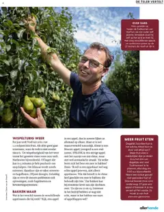 Albert Heijn - Allerhande 6 - Voorbeeld van een folder van Albert Heijn, geldig van 06.10.2025 | Pagina: 101