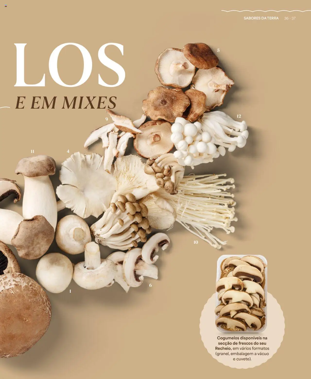 Recheio - Recheio da Terra │ válido de 25.09.2025 | Página: 37 | Produtos: Cogumelos