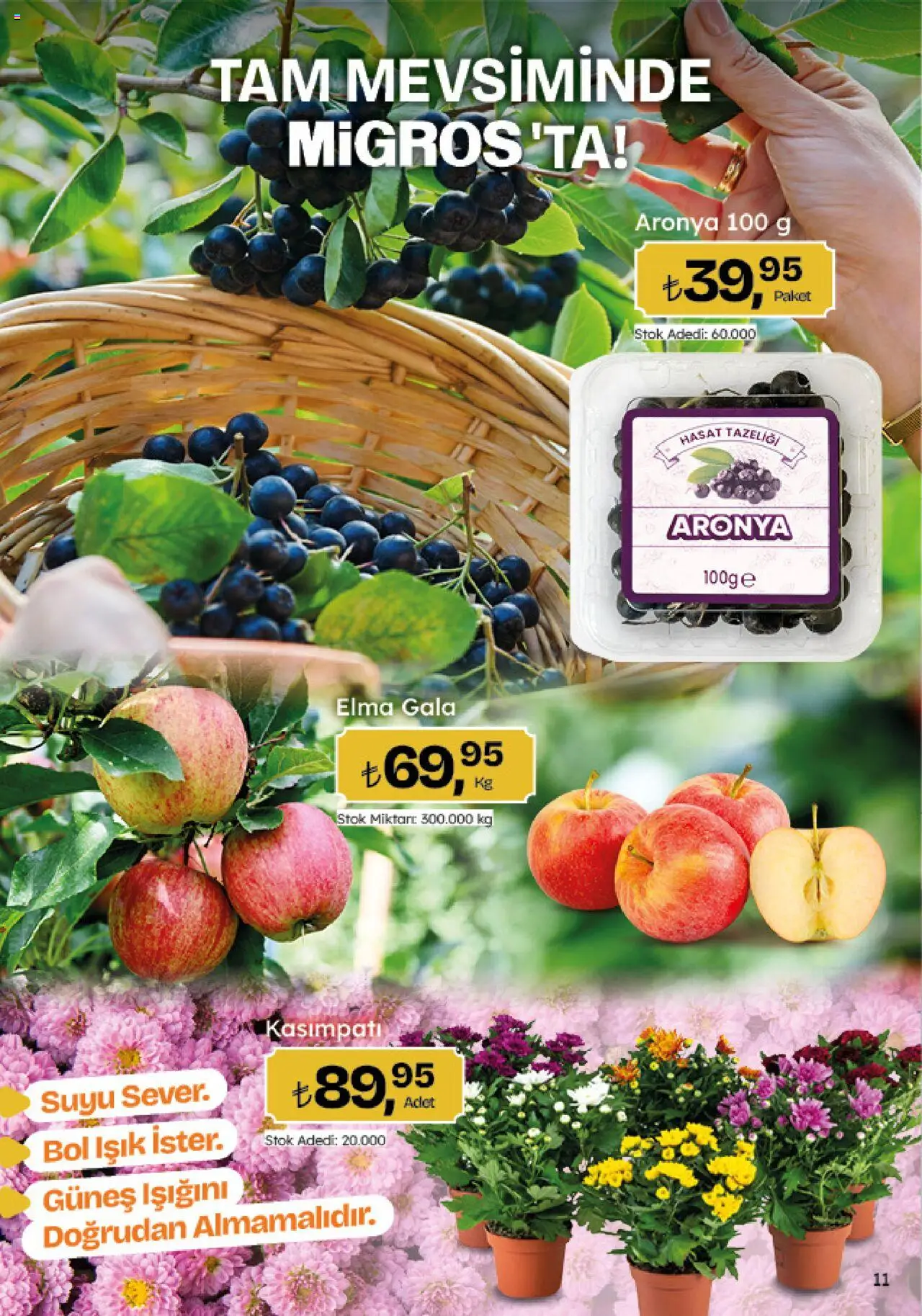 Migros Katalog - 5M Migroskop Dijital - 09.10.2025 tarihinden itibaren geçerlidir | Sayfa: 11 | Ürünler: Elma