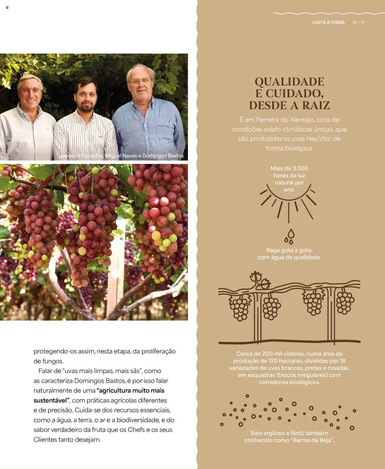 Recheio - Recheio da Terra │ válido de 25.09.2025 | Página: 11 | Produtos: Agua, Uvas