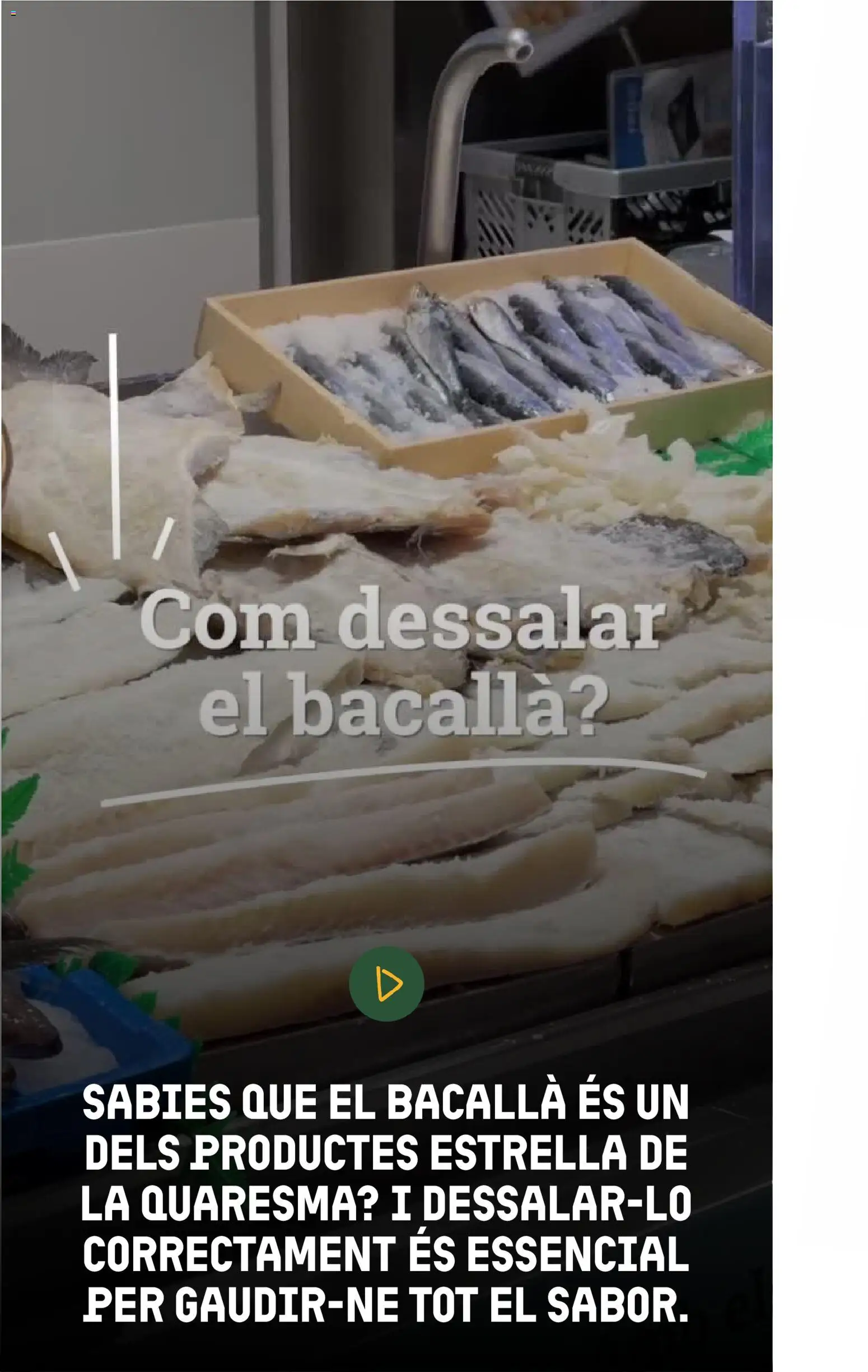 Bonpreu folleto │ válido desde el 03.03.2026 | Página: 62