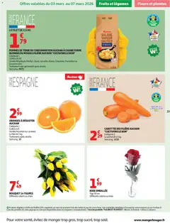 Auchan - Prévisualisation de Auchan - Coup de propre hypers valide à partir de 03.03.2026 | Page: 23 | Produits: Carottes, Fleurs et plantes, Tulipes, Pommes