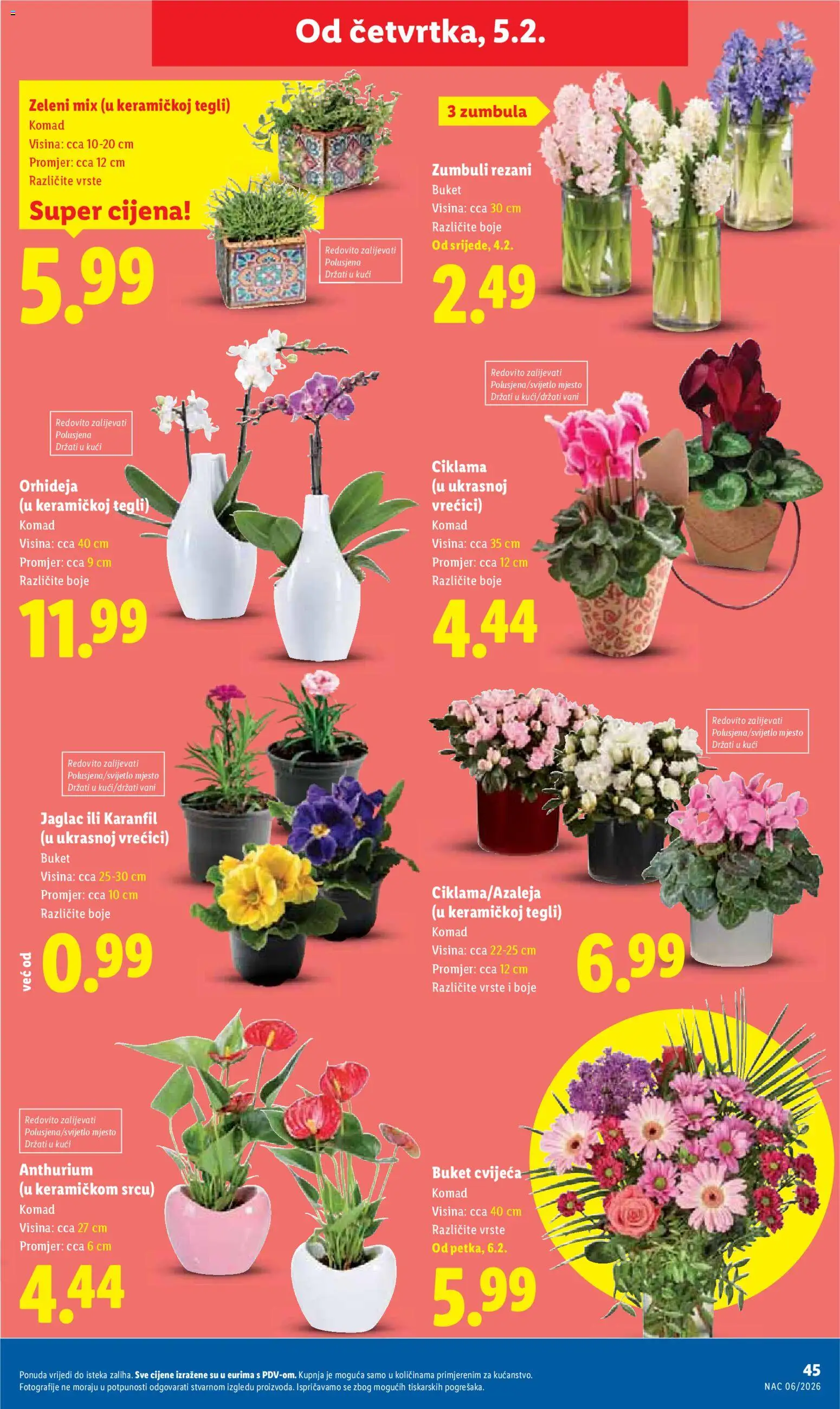 Lidl katalog | vrijedi od 02.02.2026 | Stranica: 45 | Proizvodi: Orhideja