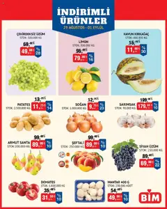 29.08.2025 tarihinden itibaren geçerli olan BİM kataloğu önizlemesi