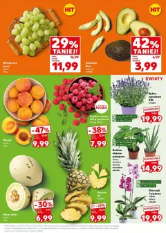 Kaufland gazetka - Super Sobota od 19.07.2025 | Strona: 11 | Produkty: Winogrona, Morele, Storczyk, Ananas