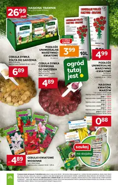 Pogląd oferty "Stokrotka Gazetka" - ważna od 19.02.2026 | Strona: 9