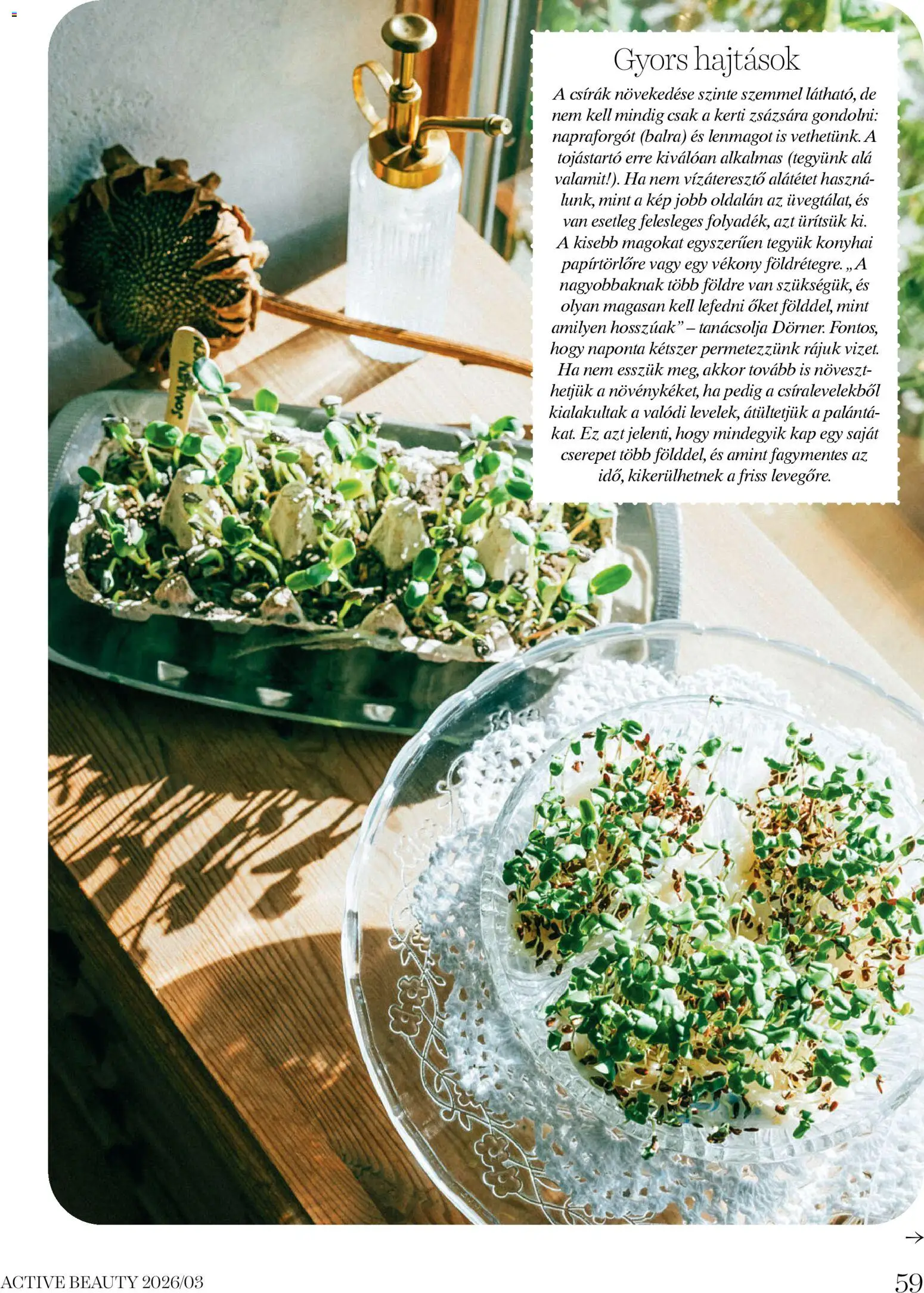 DM Drogerie Markt akciós ujság - amely érvényes a következő dátumtól: 26.03.2026 | Oldal: 59