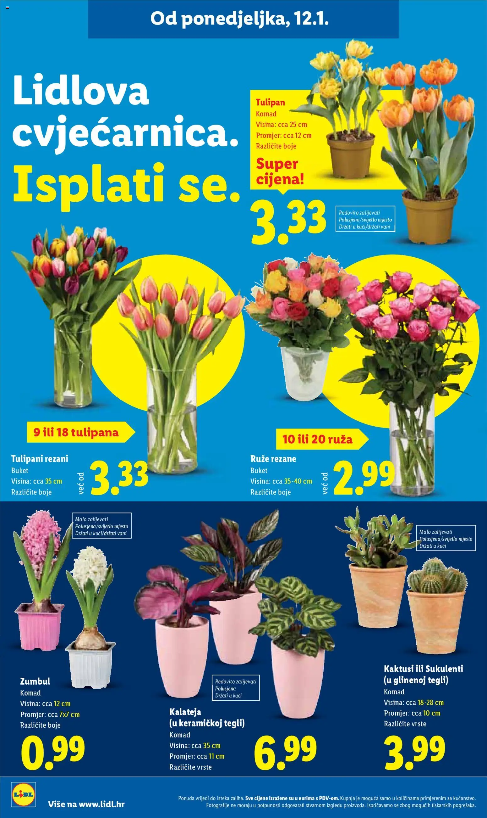 Lidl katalog | vrijedi od 12.01.2026 | Stranica: 52