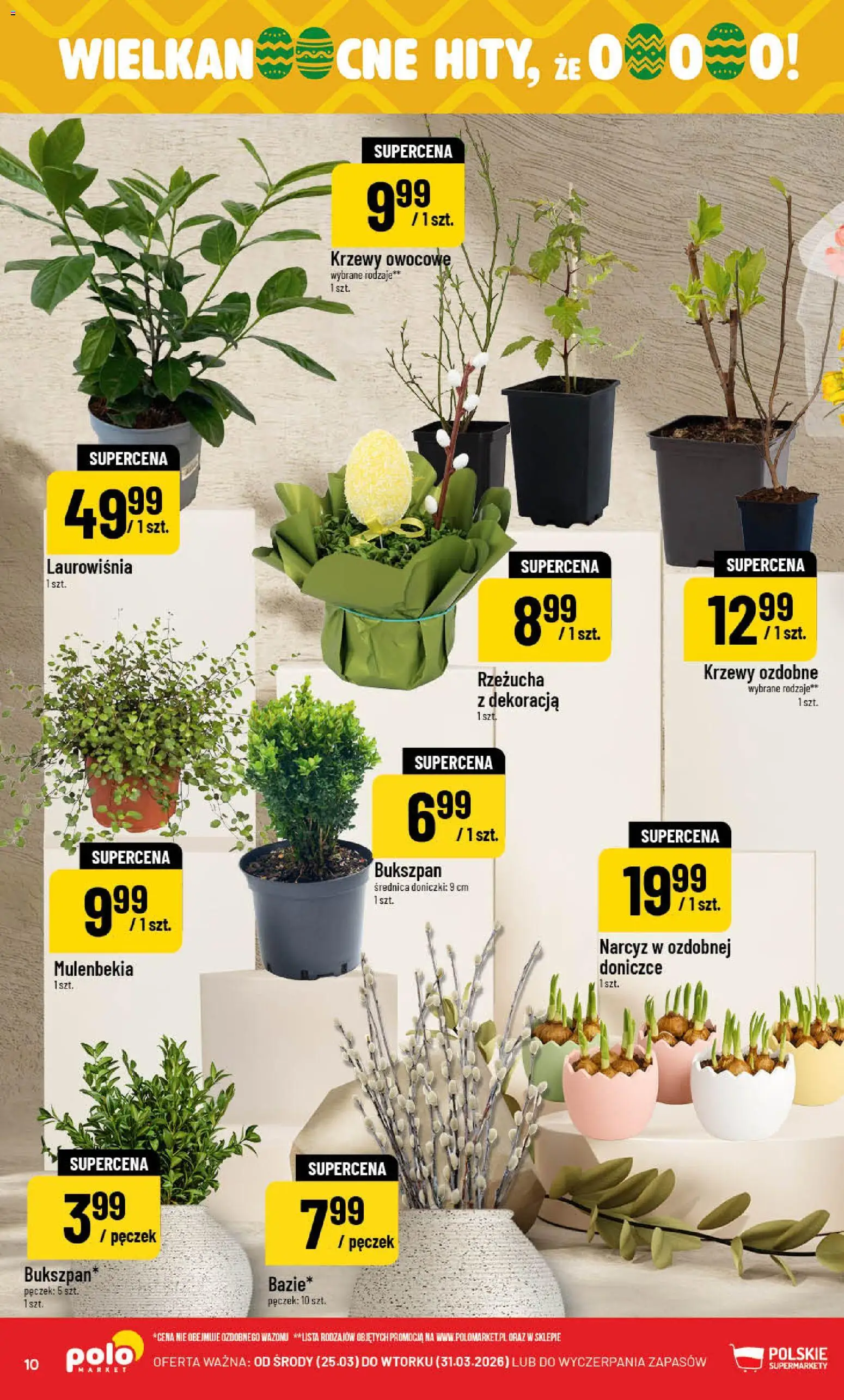 POLOmarket gazetka od 25.03.2026 | Strona: 10 | Produkty: Rzeżucha, Krzewy owocowe, Doniczki