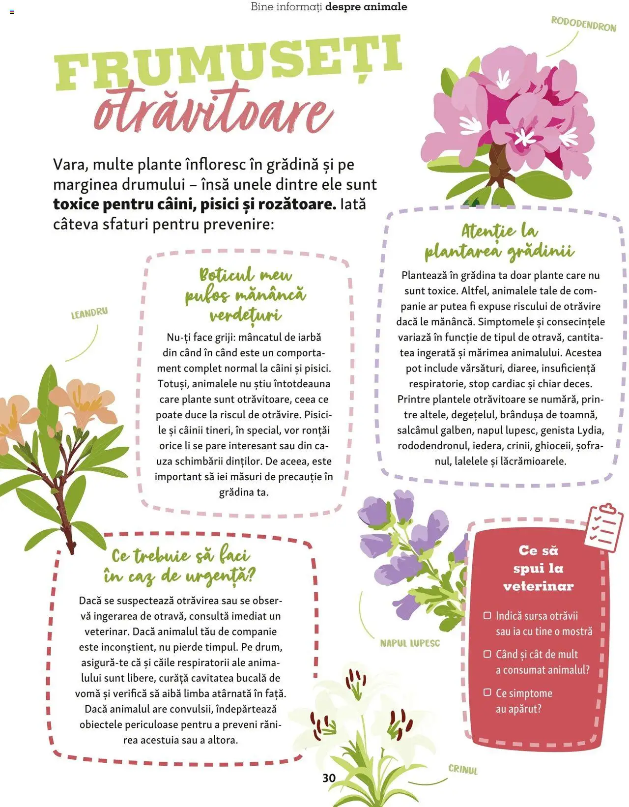 Catalog Fressnapf - Vară – valabil de la 05.05.2025 | Pagină: 30