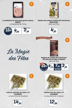 Coccinelle - Prévisualisation de Coccinelle catalogue valide à partir de 17.12.2025 | Page: 14 | Produits: Magret de canard, Huîtres