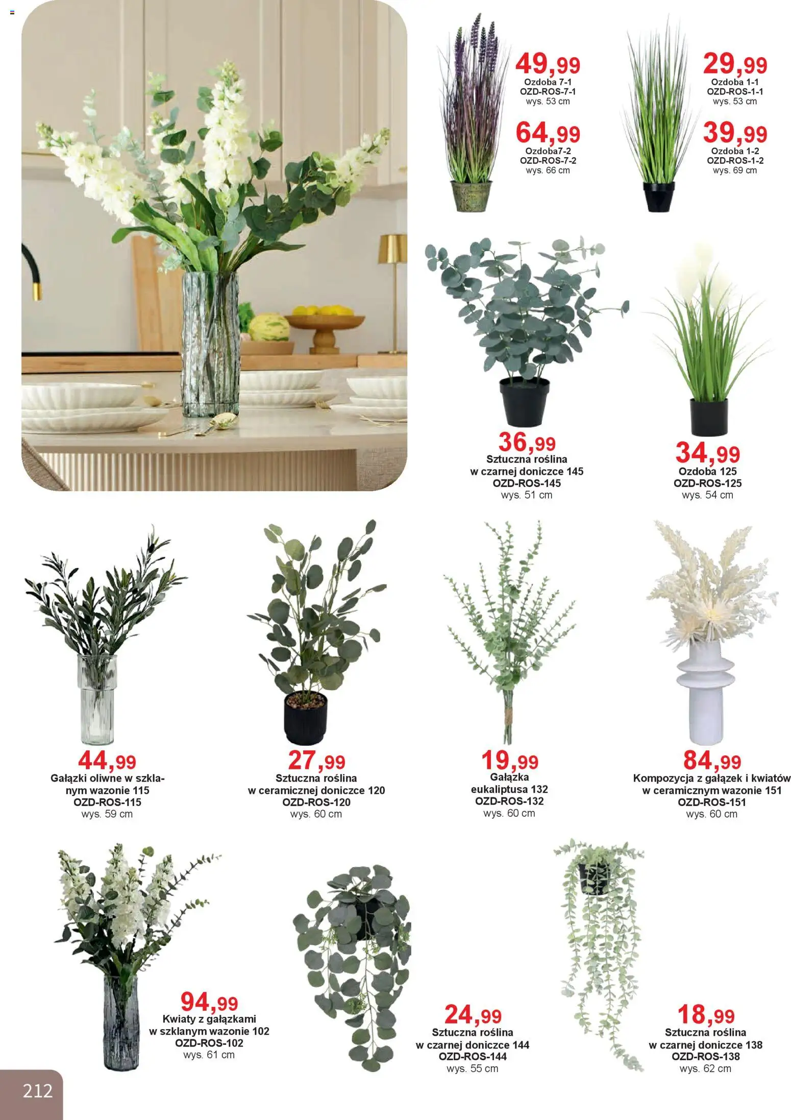 Bodzio Katalog od 01.01.2026 | Strona: 212 | Produkty: Kwiaty