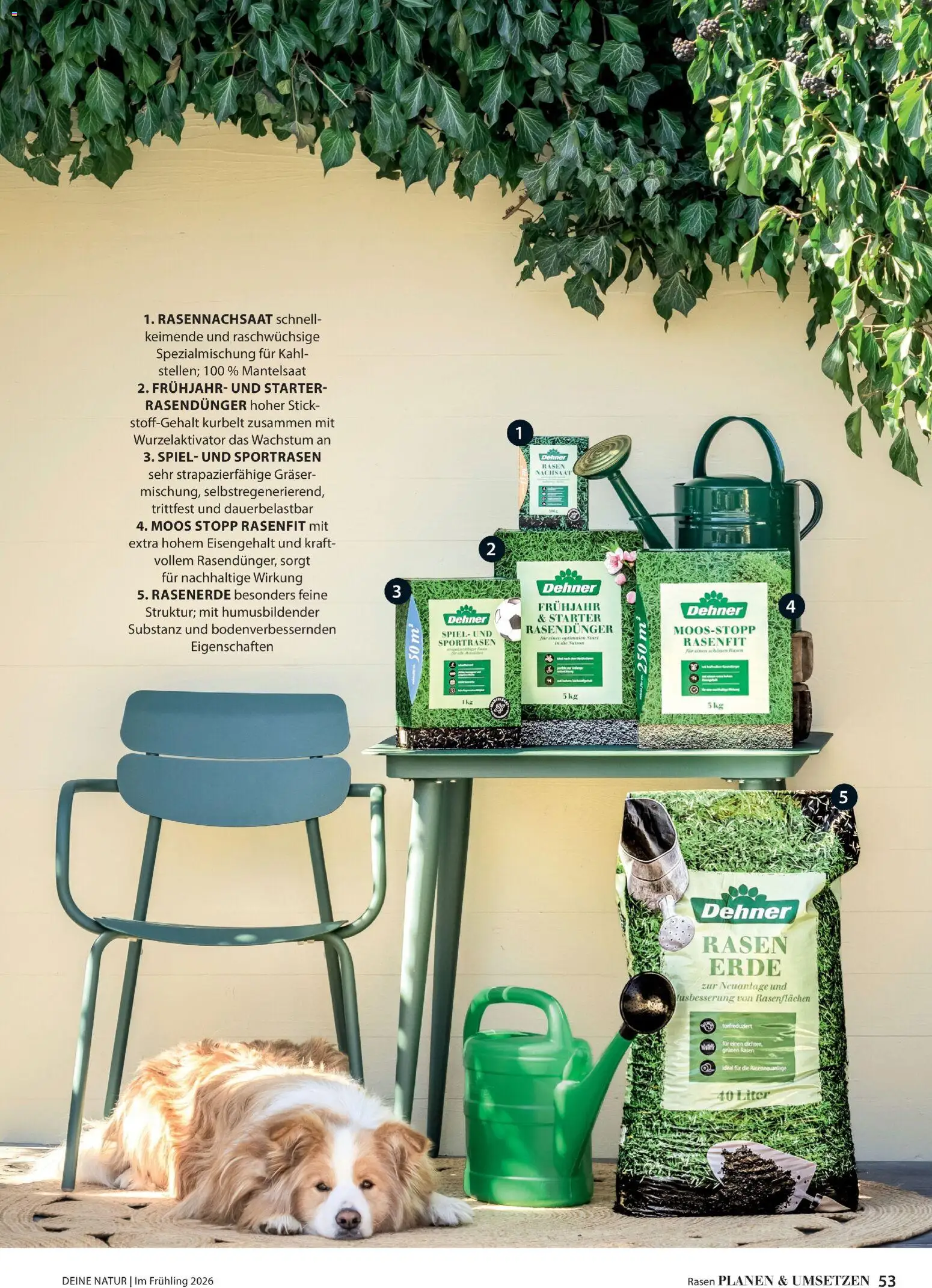 Dehner Flugblatt gültig ab 05.03.2026 | Seite: 53 | Produkte: Spiel