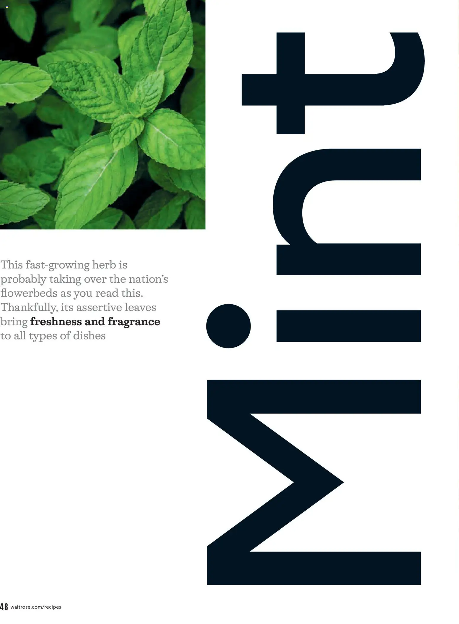 {H1} | Page: 48 | Products: Herb, Fragrance