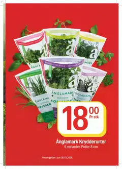 Forhåndsvisning av Coop Extra Middagsdisken Viva Mexico gyldig fra 09.02.2026 | Side: 19 | Produkter: Koriander, Basilikum