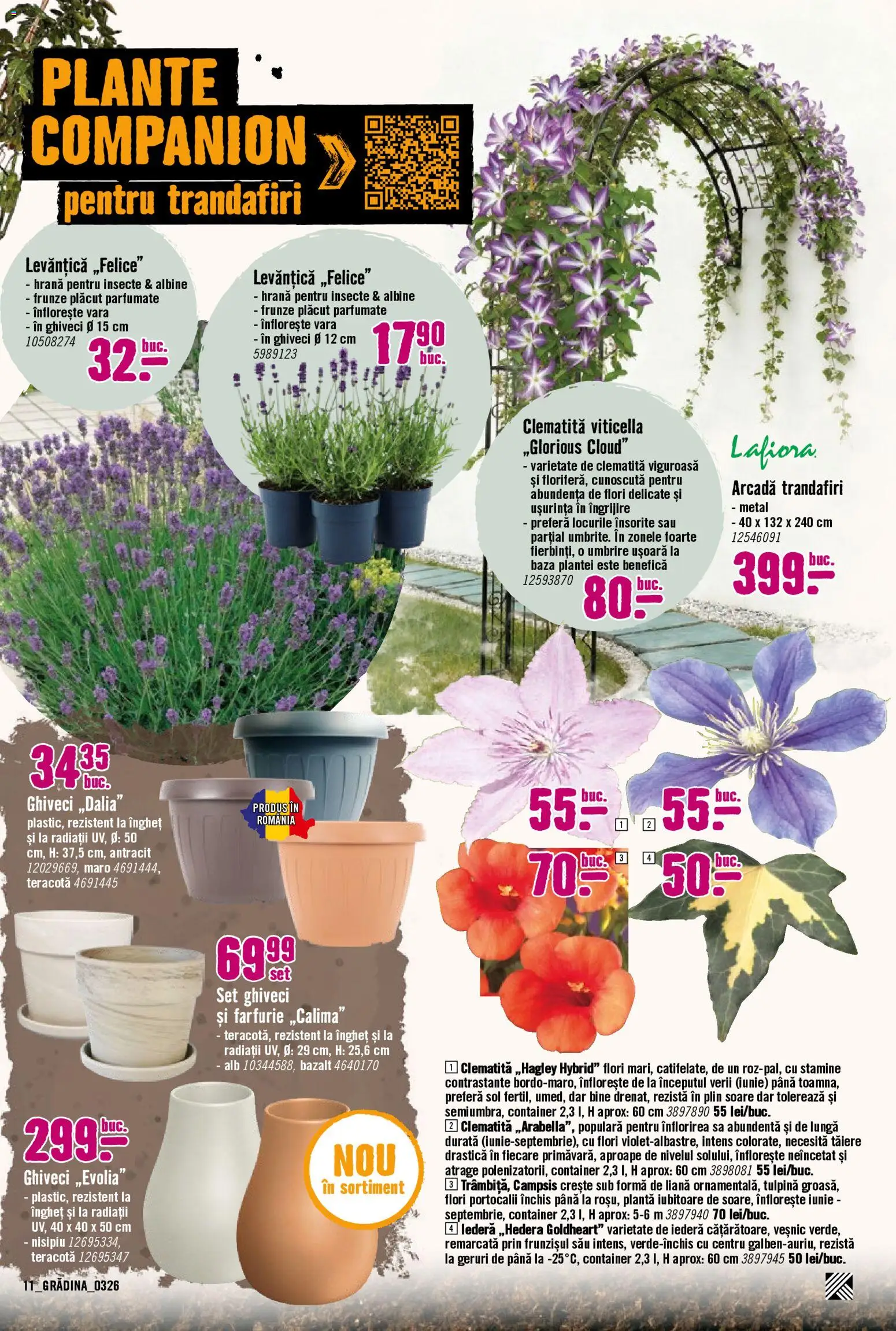 Noul catalog Hornbach – valabil de la 23.03.2026 | Pagină: 11 | Produse: Ghiveci, Farfurie