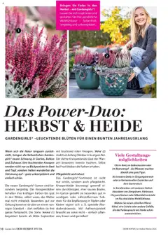 Dehner Prospekt Deine Natur ab 09.10.2025 gültig | Seite: 10 | Produkte: Blumentopf