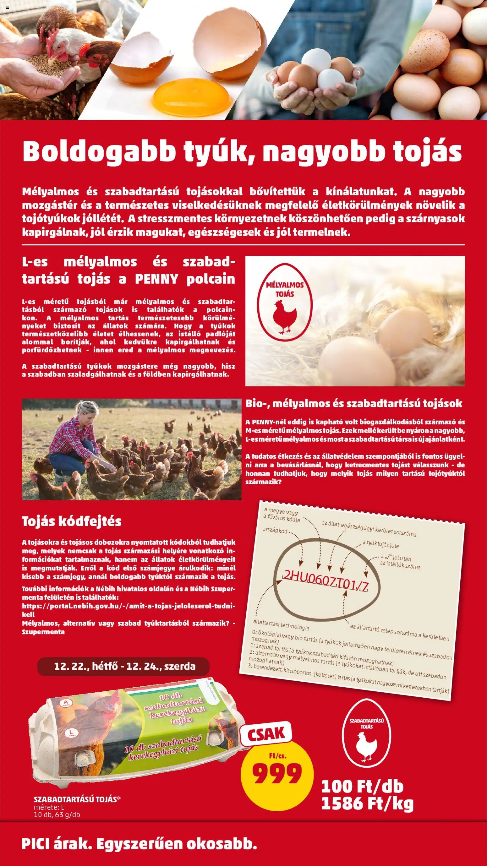 PENNY akciós ujság - amely érvényes a következő dátumtól: 18.12.2025 | Oldal: 33 | Termékek: Tojás