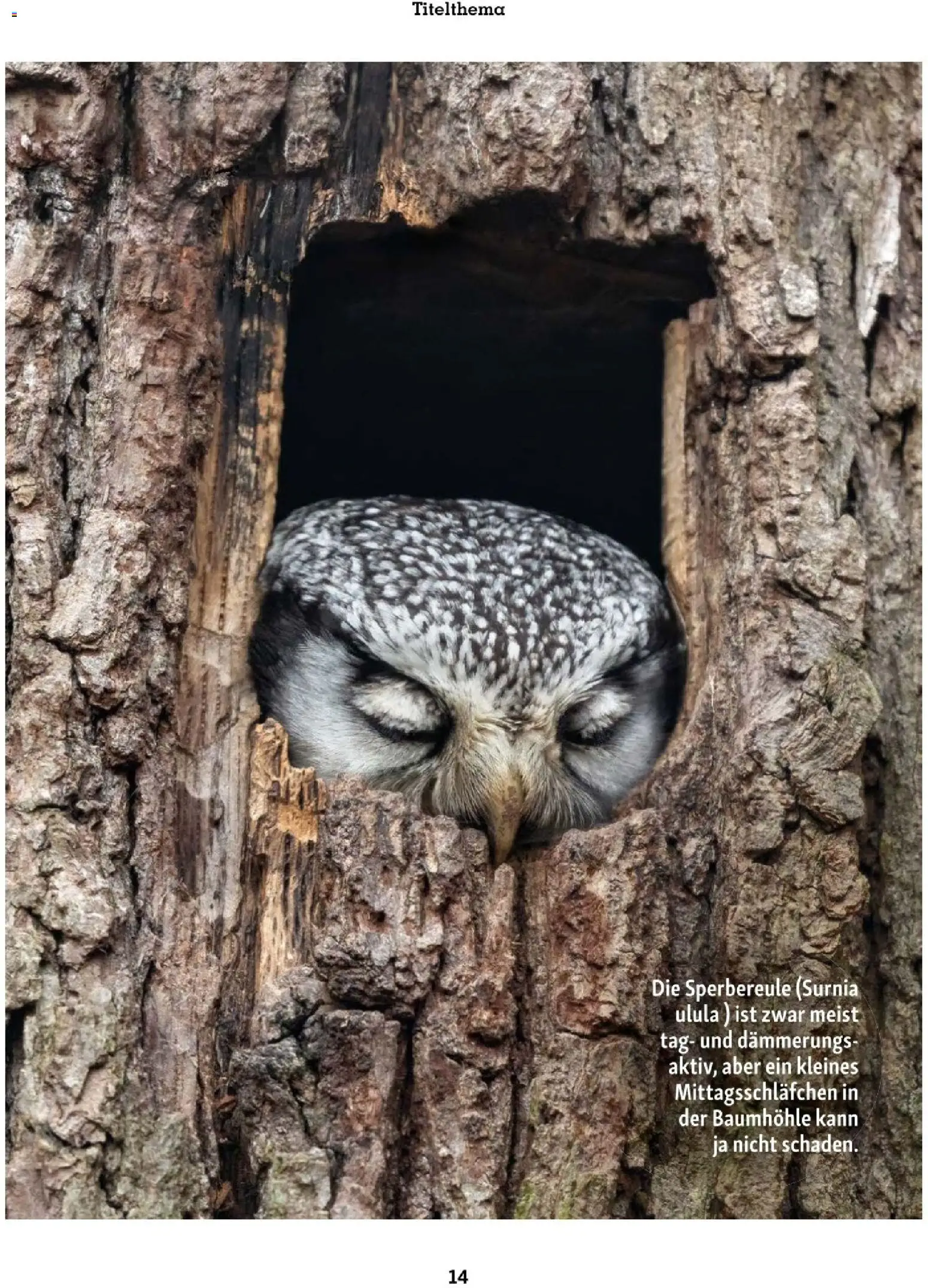 Fressnapf Friends 06/25 gültig ab 01.11.2025 | Seite: 14