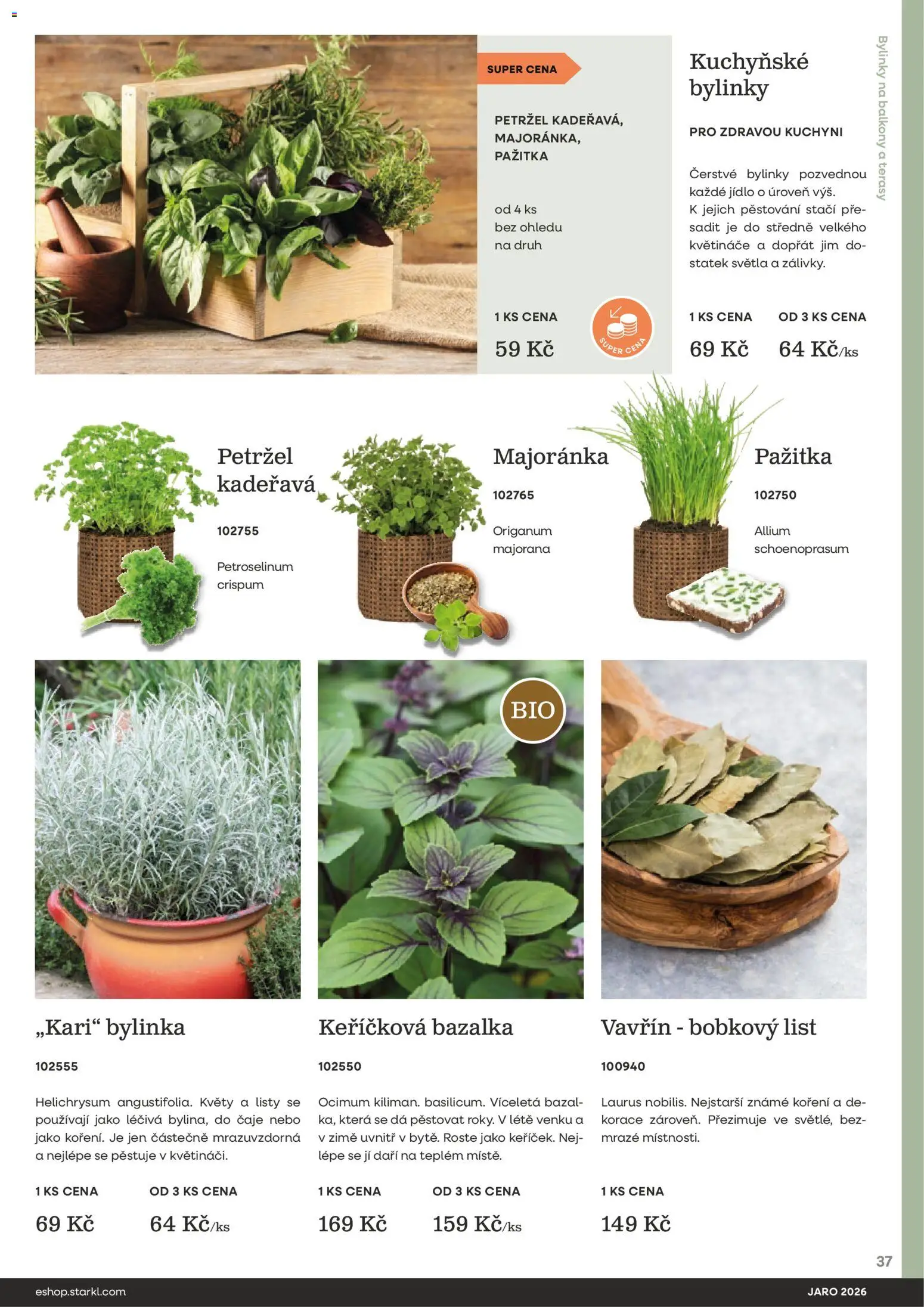 Starkl katalog Jaro 2026 od 25.02.2026 | Strana: 37 | Produkty: Květináče, Koření, Čaje, Petržel
