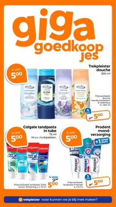 Trekpleister - Folder - Voorbeeld van een folder van Trekpleister, geldig van 28.10.2025 | Pagina: 3