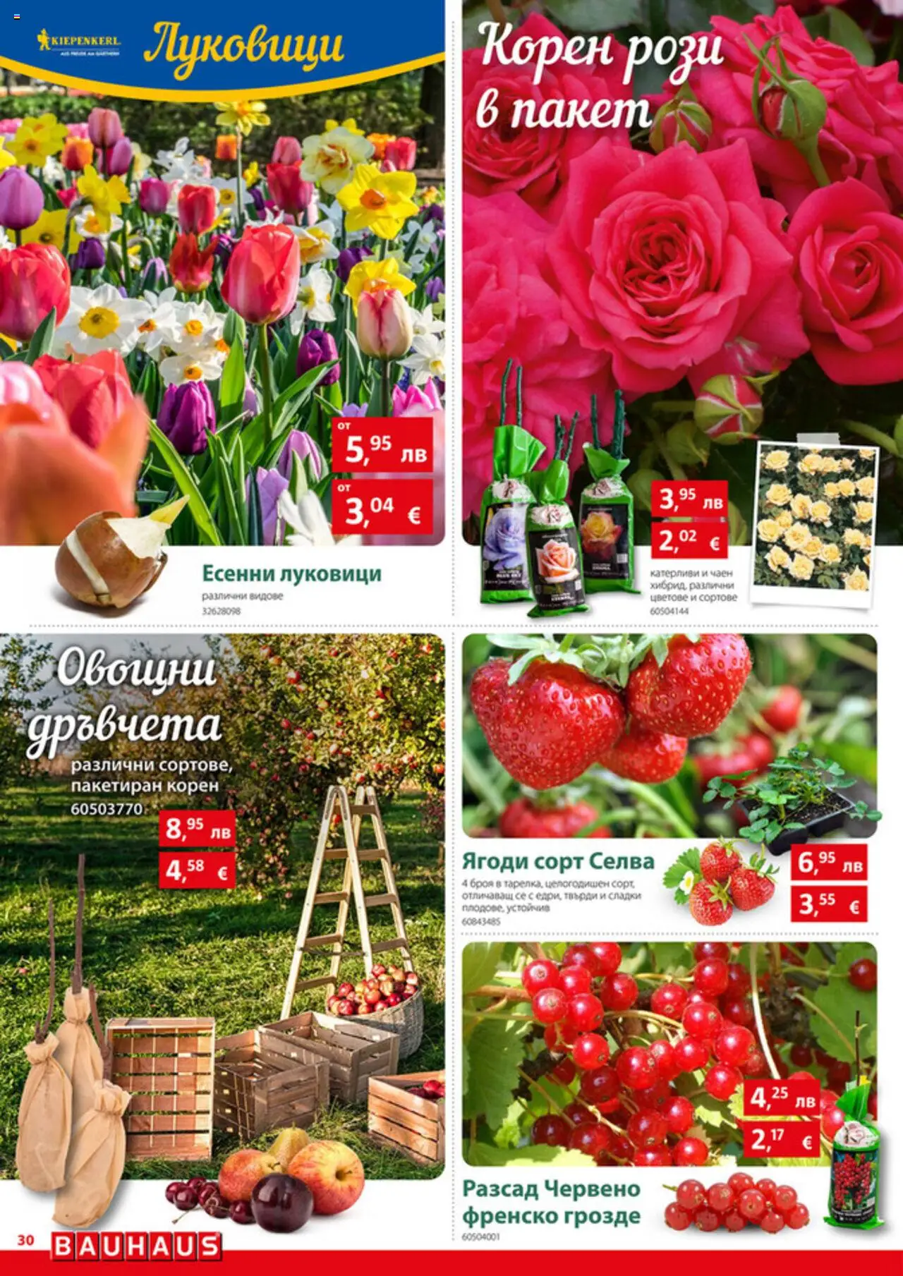 {H1} | Страница: 20 | Продукти: Ягоди, Грозде