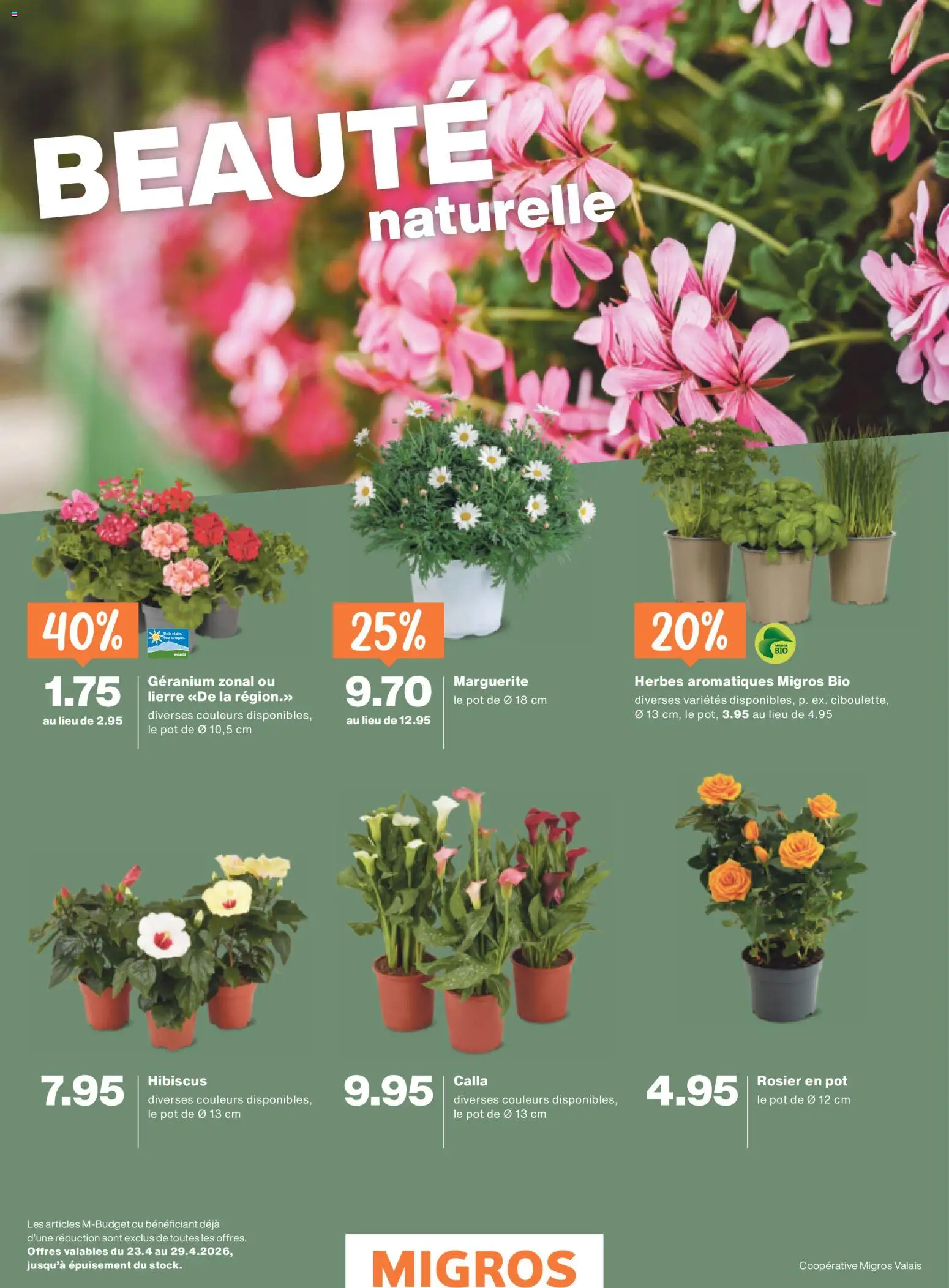 Migros aktionen FR – gültig ab 22.04.2026 | Seite: 35