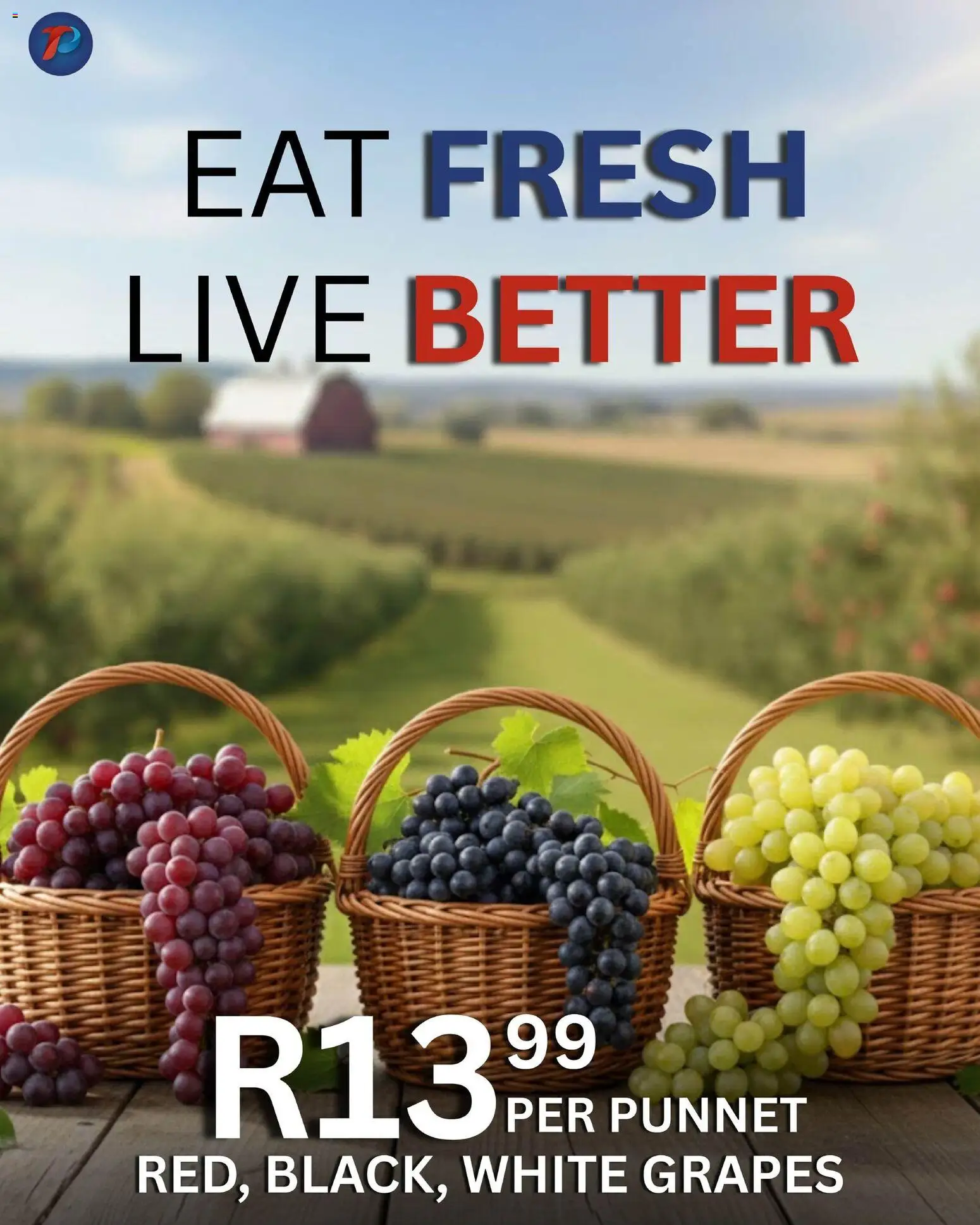 New Take n Pay catalogue – valid from 17.02.2026 | Page: 3 | Products: Grapes