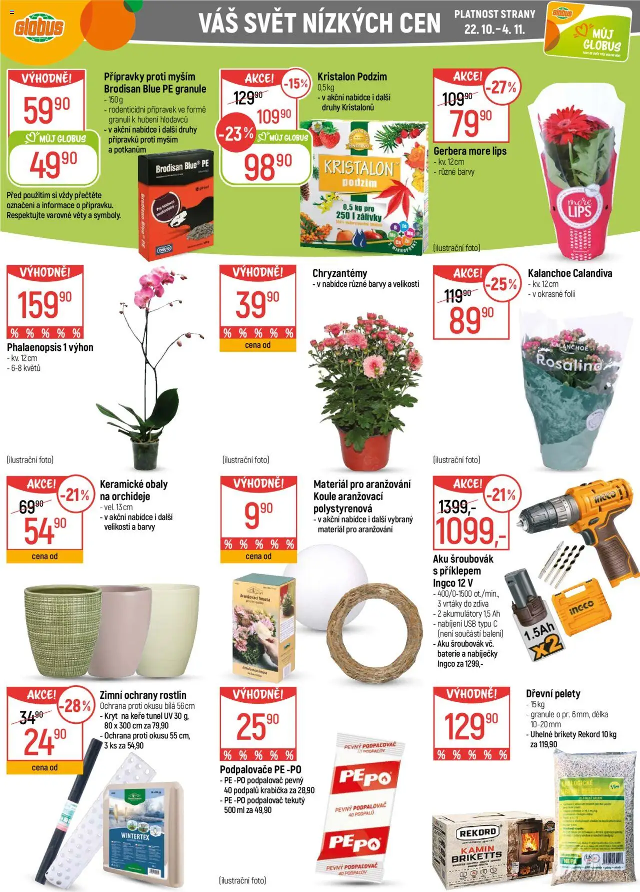 Globus leták - Havířov od 22.10.2025 | Strana: 38 | Produkty: Kalanchoe, Brikety, Šroubovák, Pepo
